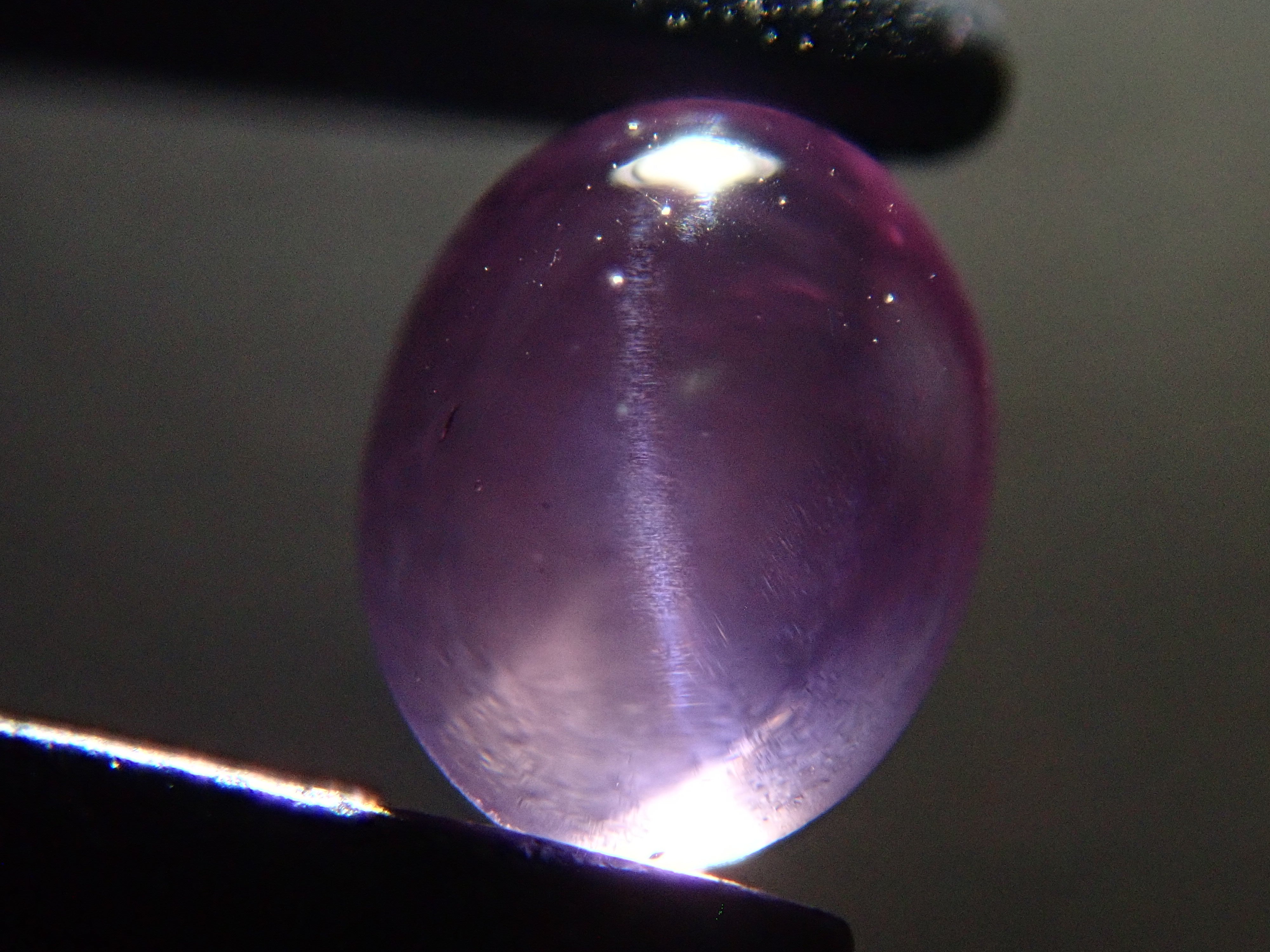 【12562521掲載】スリランカ産非加熱スターサファイア 0.238ctルース