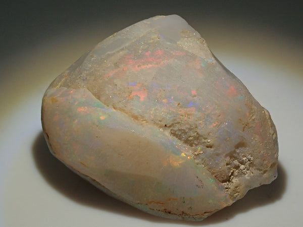 【12551477掲載】オーストラリア産シェルオパール（貝オパール） 73.321ct原石