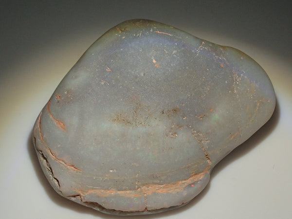 シェルオパール（貝オパール） 74.153ct原石