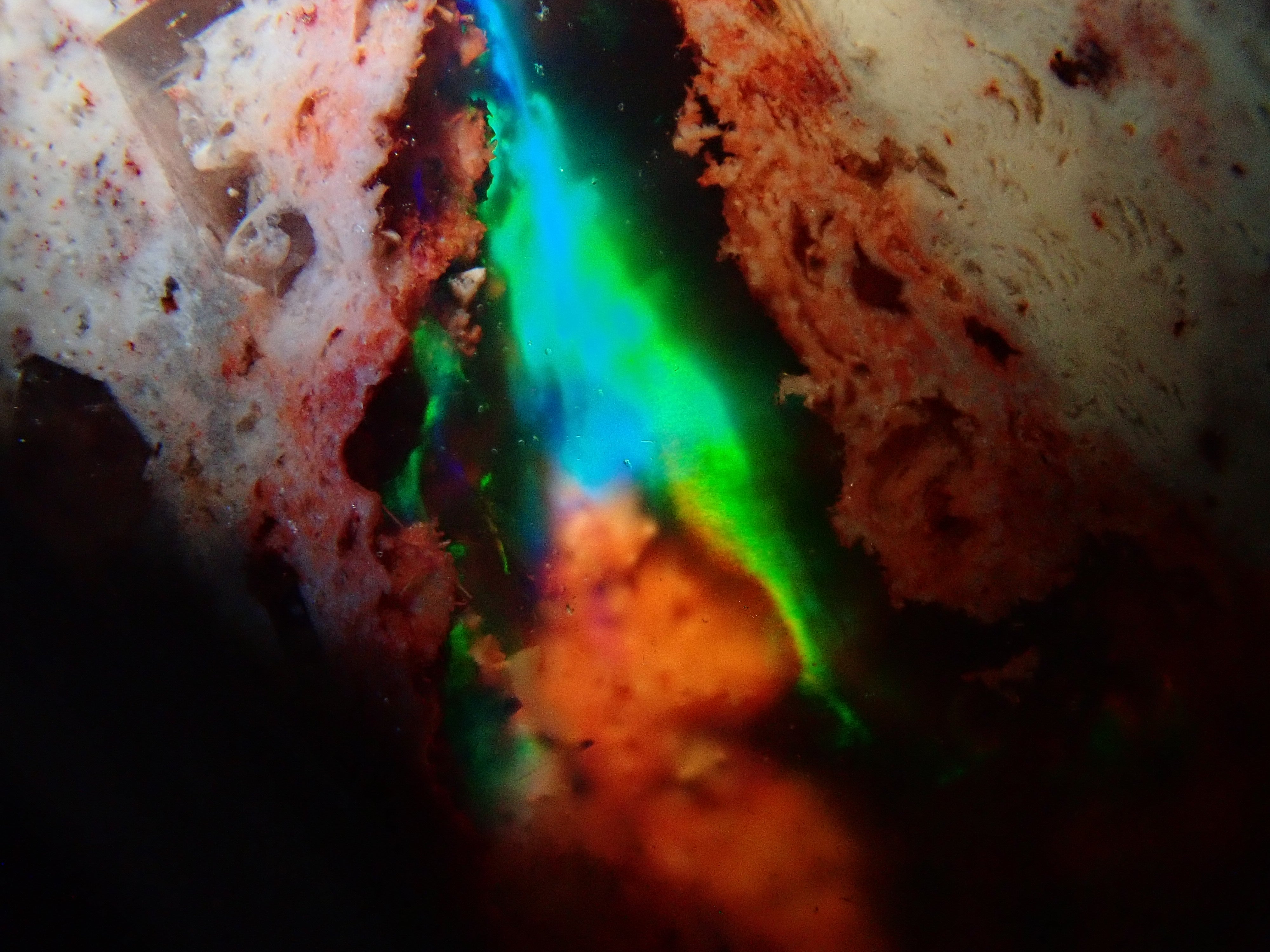 【12562811掲載】メキシコ産カンテラオパール 10.379ctルース