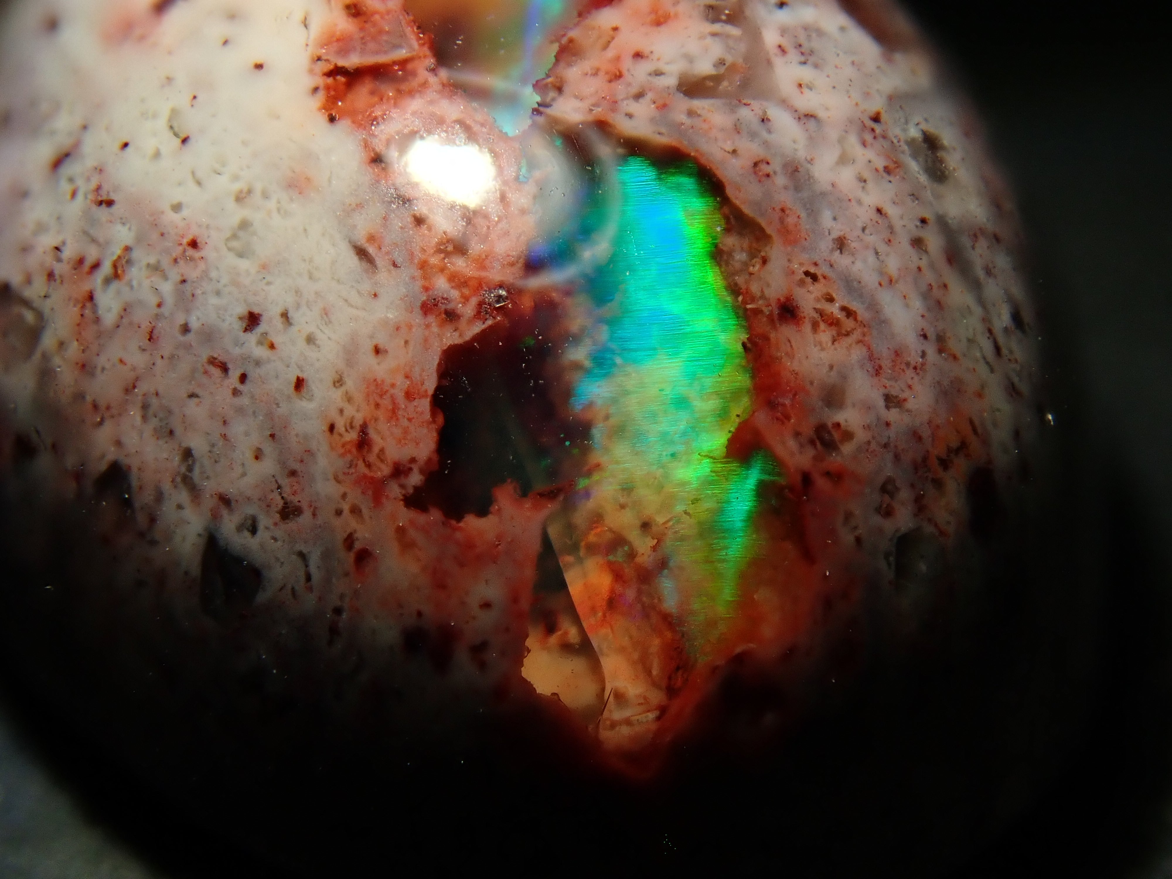 【12562811掲載】メキシコ産カンテラオパール 10.379ctルース