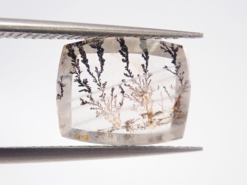 {Only 2 left} Brazilian dendritic quartz, 1 loose stone {Multiple purchase discounts available}