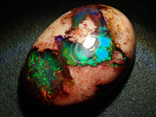 P4183070_grande.jpg?v=1755911048