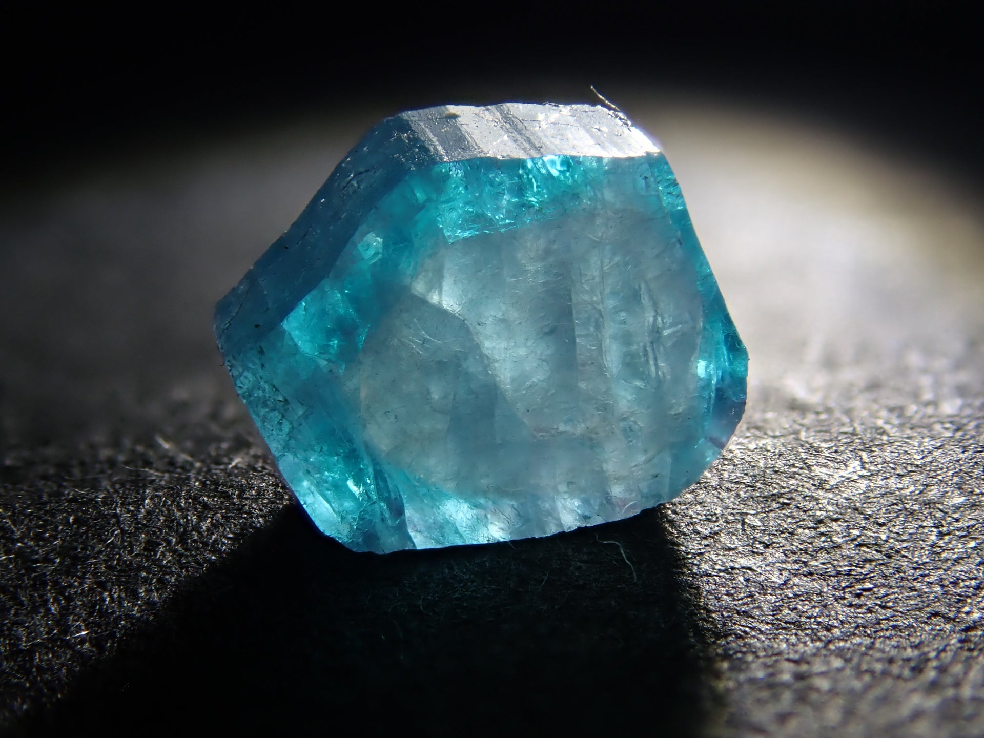 P4234398.jpg?v=1713930424&  