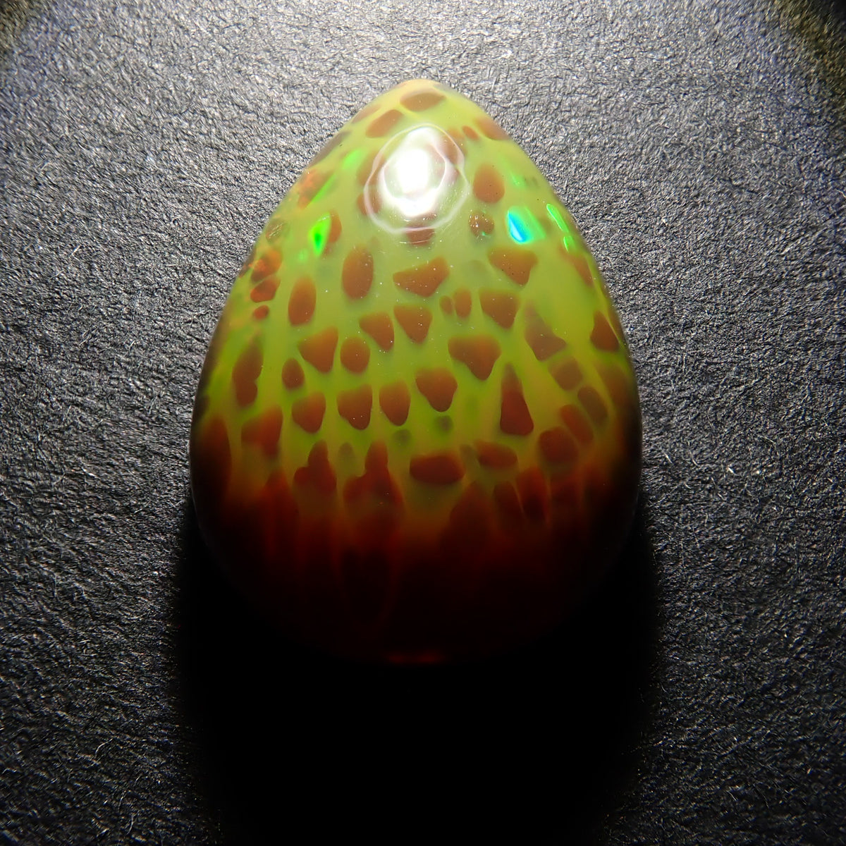 P4245961.jpg?crop=center&  