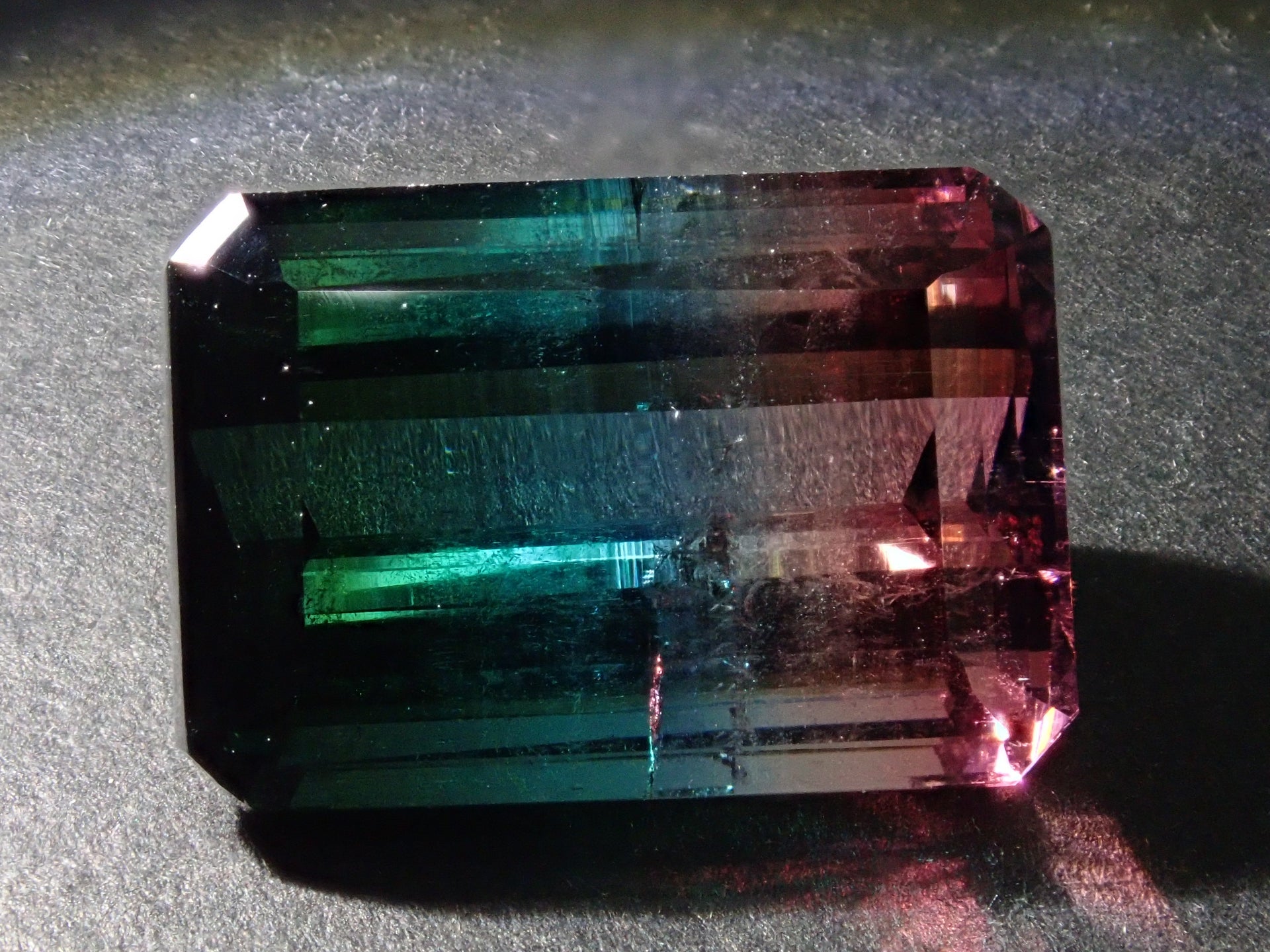 P4277611_d27274de-27a9-4998-  