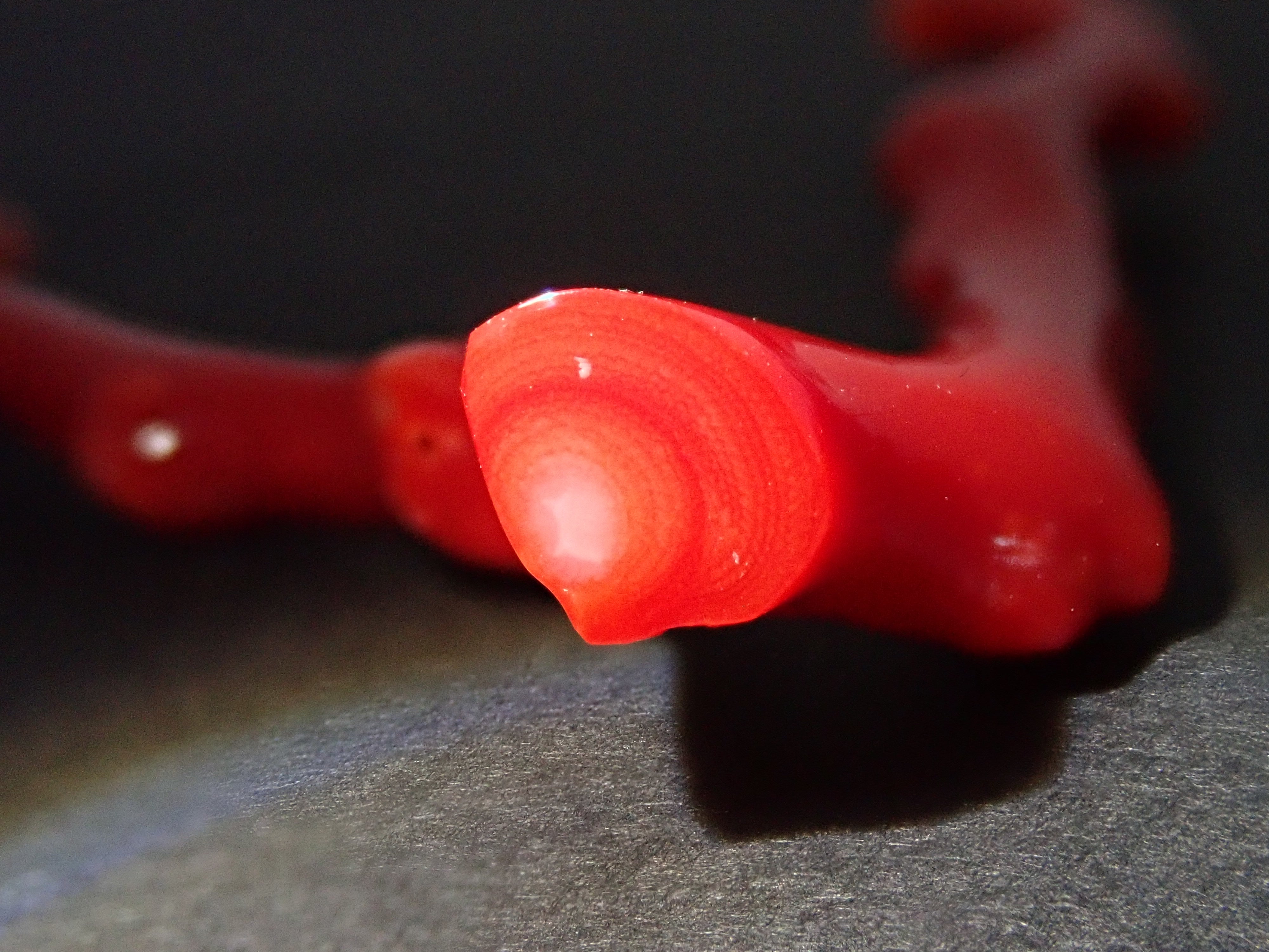 【12563211掲載】高知県産血赤珊瑚 21.156ct原石