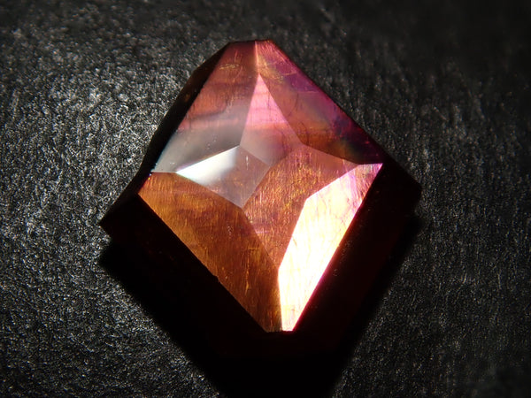 P5301286_grande.jpg?v=1685759357