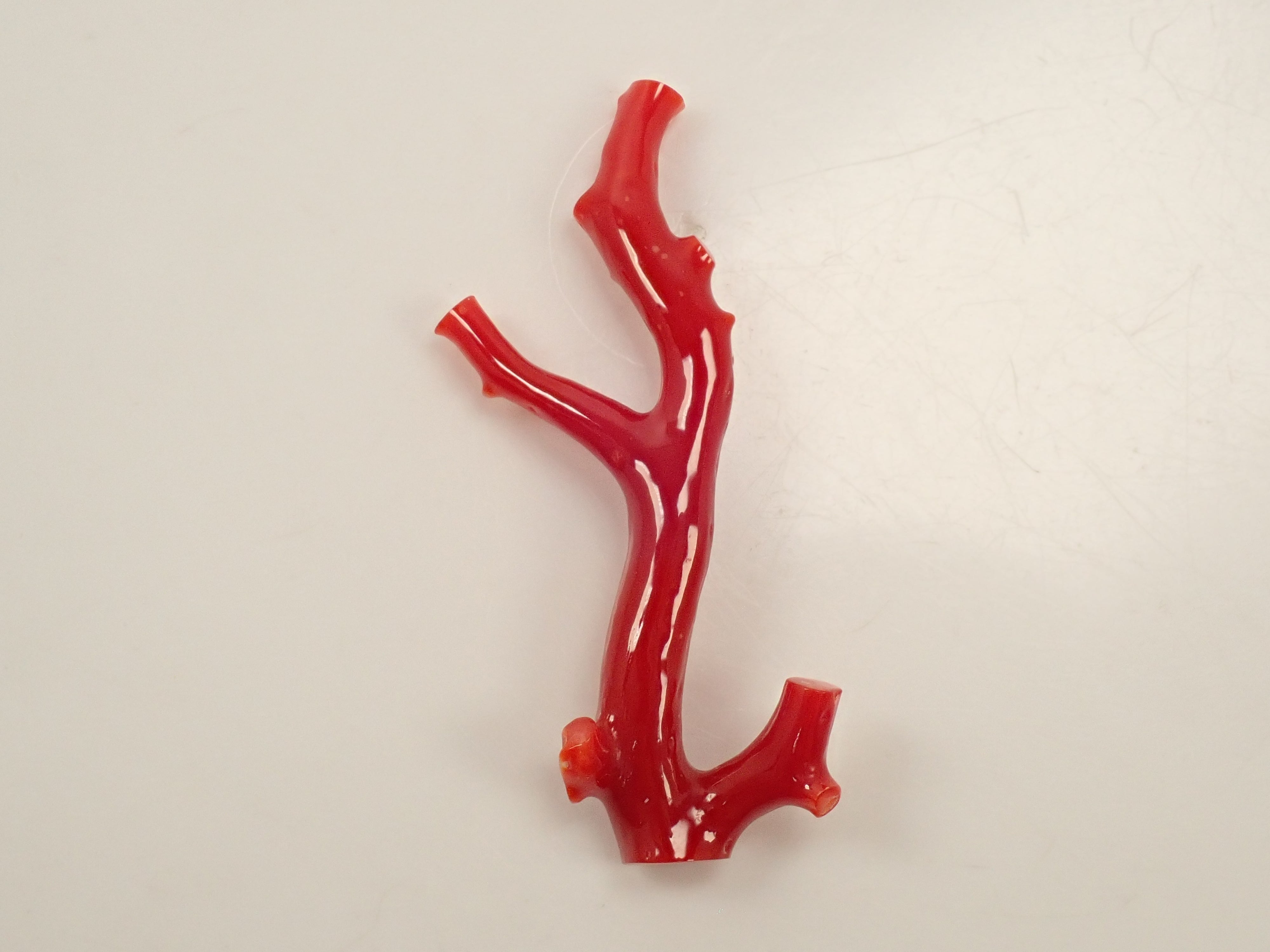 【最高級】【希少】血赤珊瑚　枝　裸石　※匿名発送 血赤珊瑚 - 通販｜宝石鑑定士が運営【カラッツSTORE】