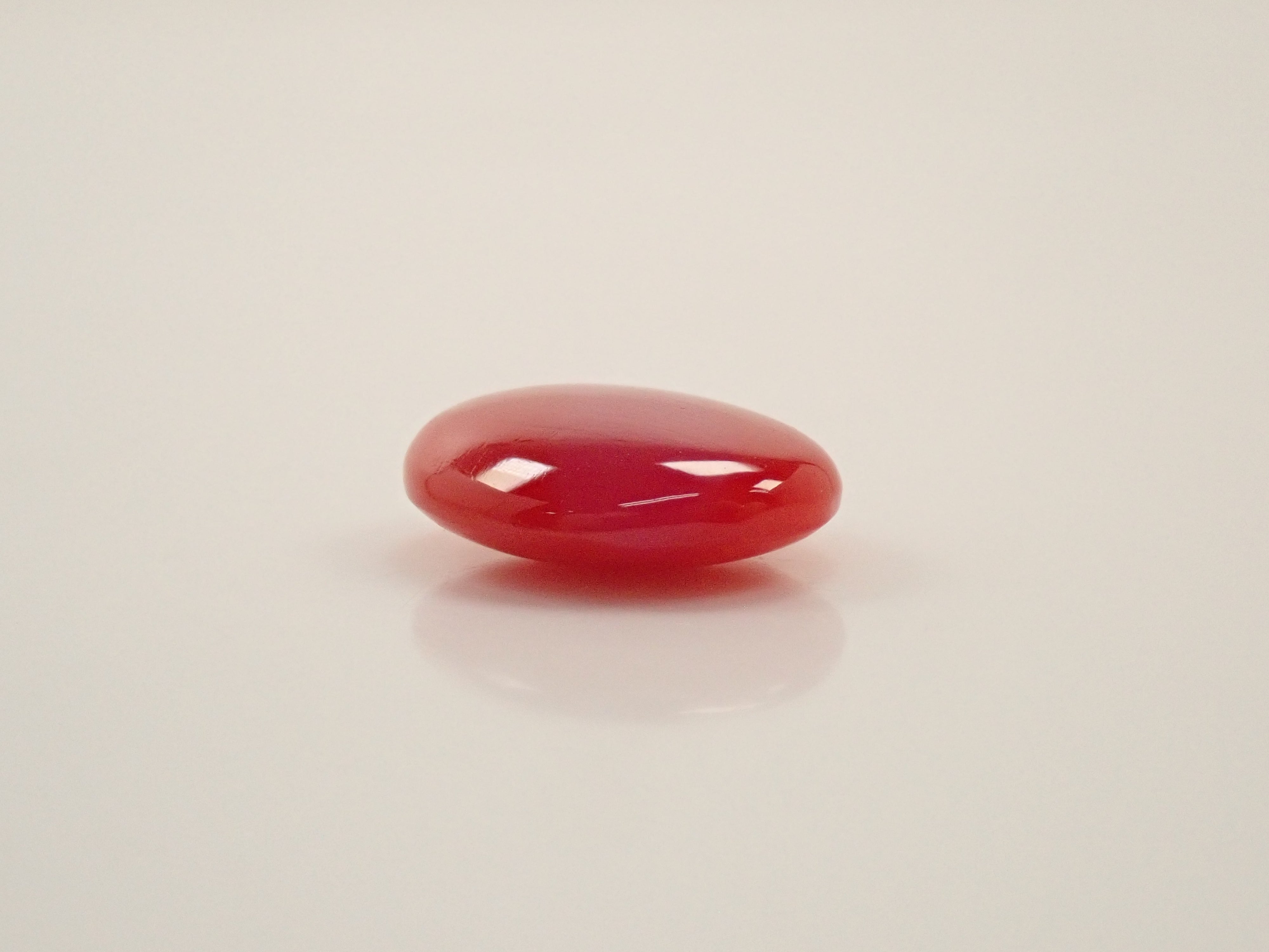 Listed on 12563218】Kochi Prefecture Harvested Deep Red Coral