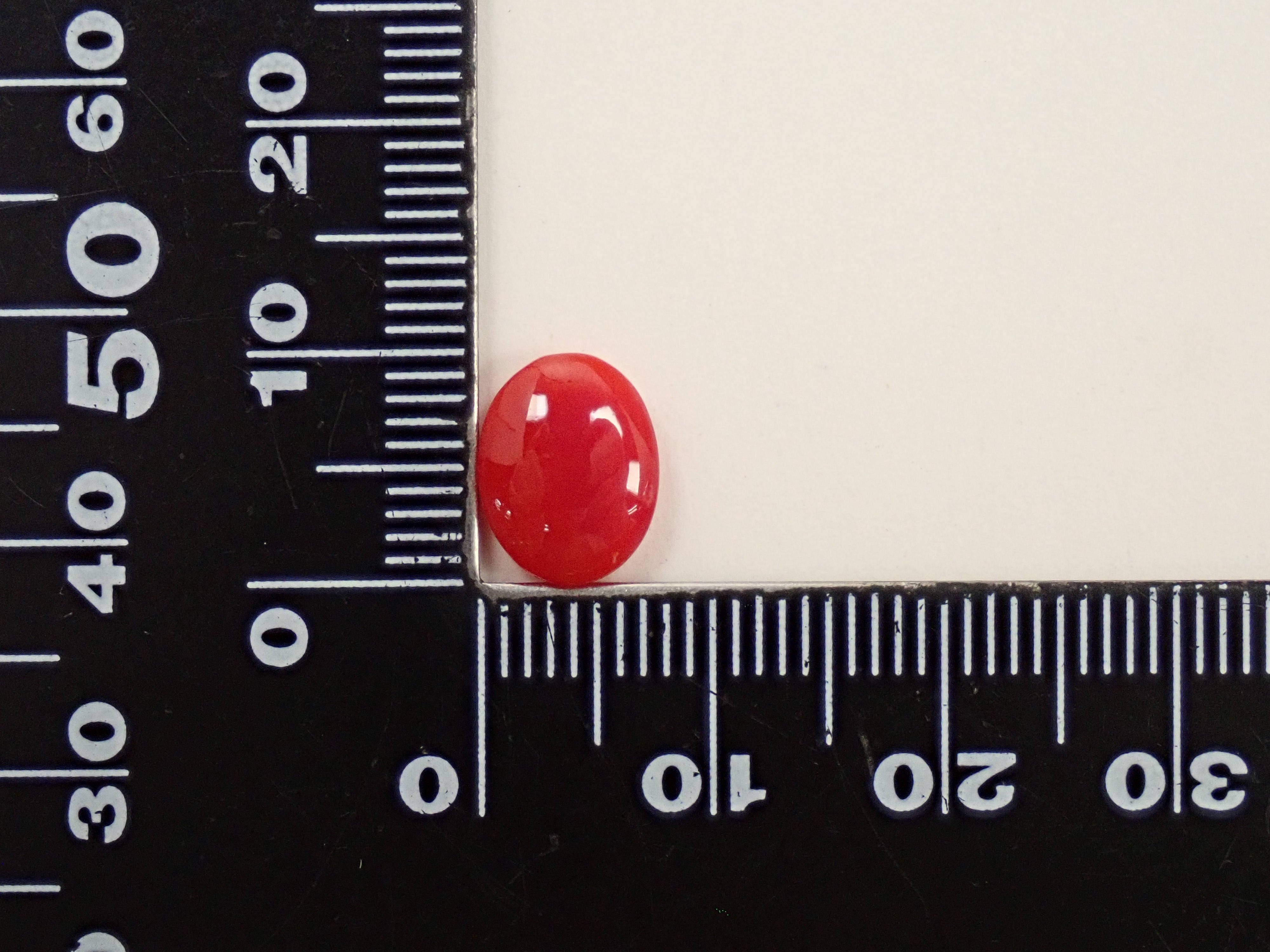 Listed on 12563218】Kochi Prefecture Harvested Deep Red Coral