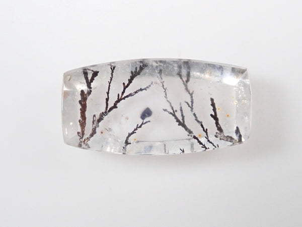 P6214087_grande.jpg?v=1687741434