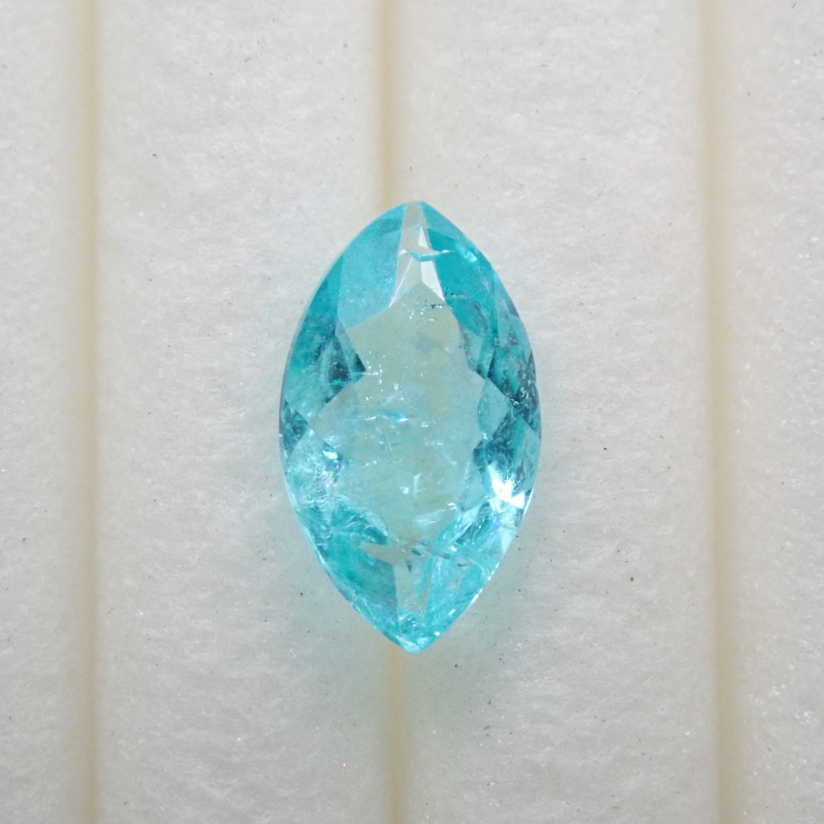 P6301508_d3d891ee-69cc-4019-  