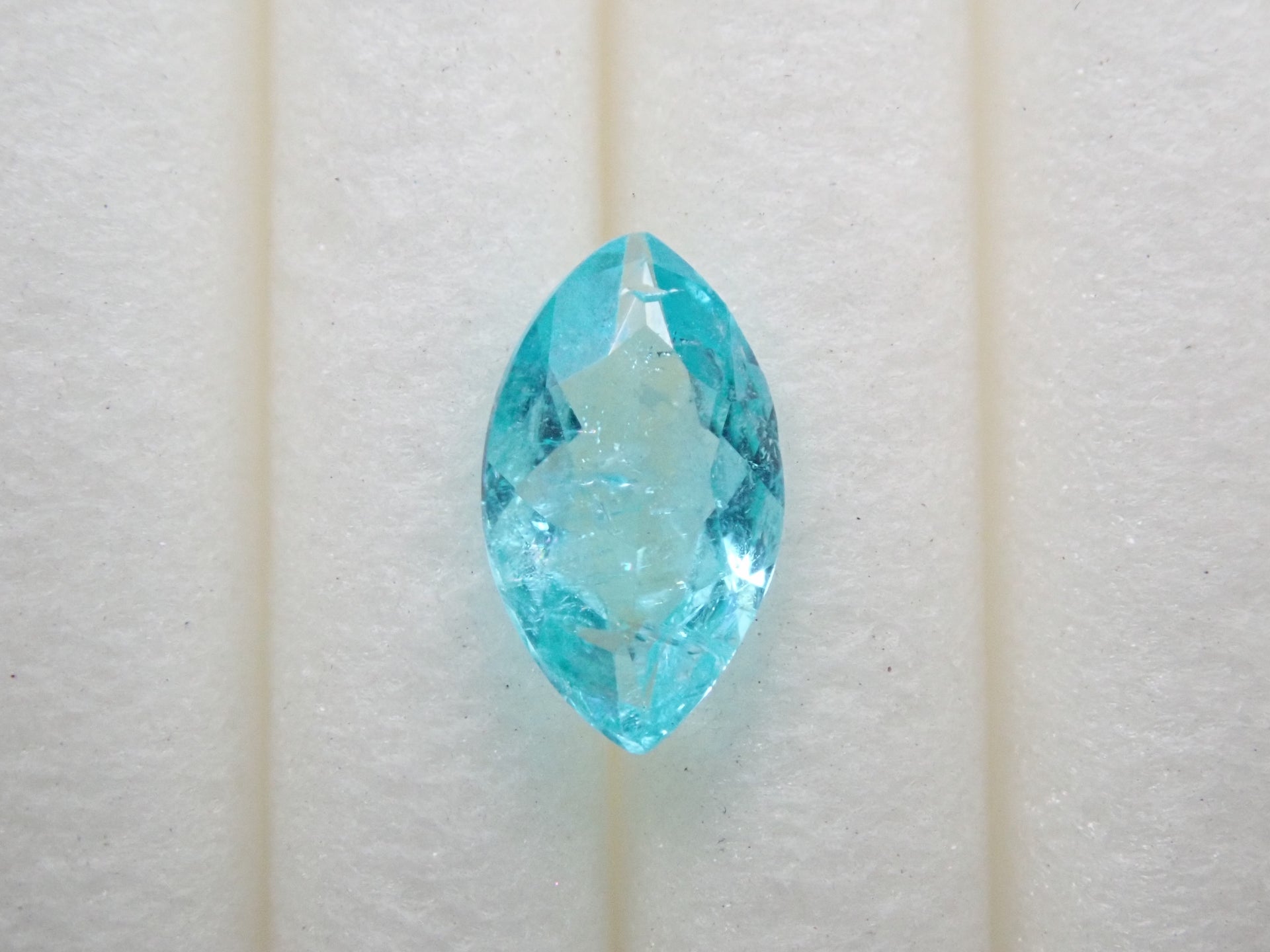 P6301508_d3d891ee-69cc-4019-  