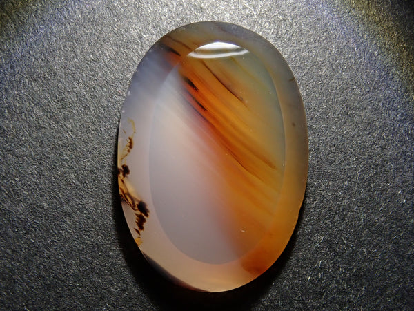 P7039227_grande.jpg?v=1720049352