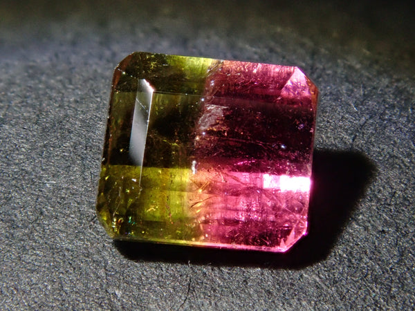 P7218854_grande.jpg?v=1761051889