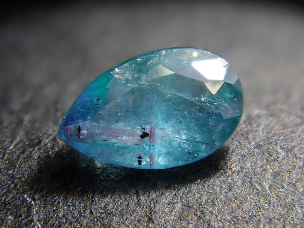 P8179550_1637fa04-61ed-4e44-