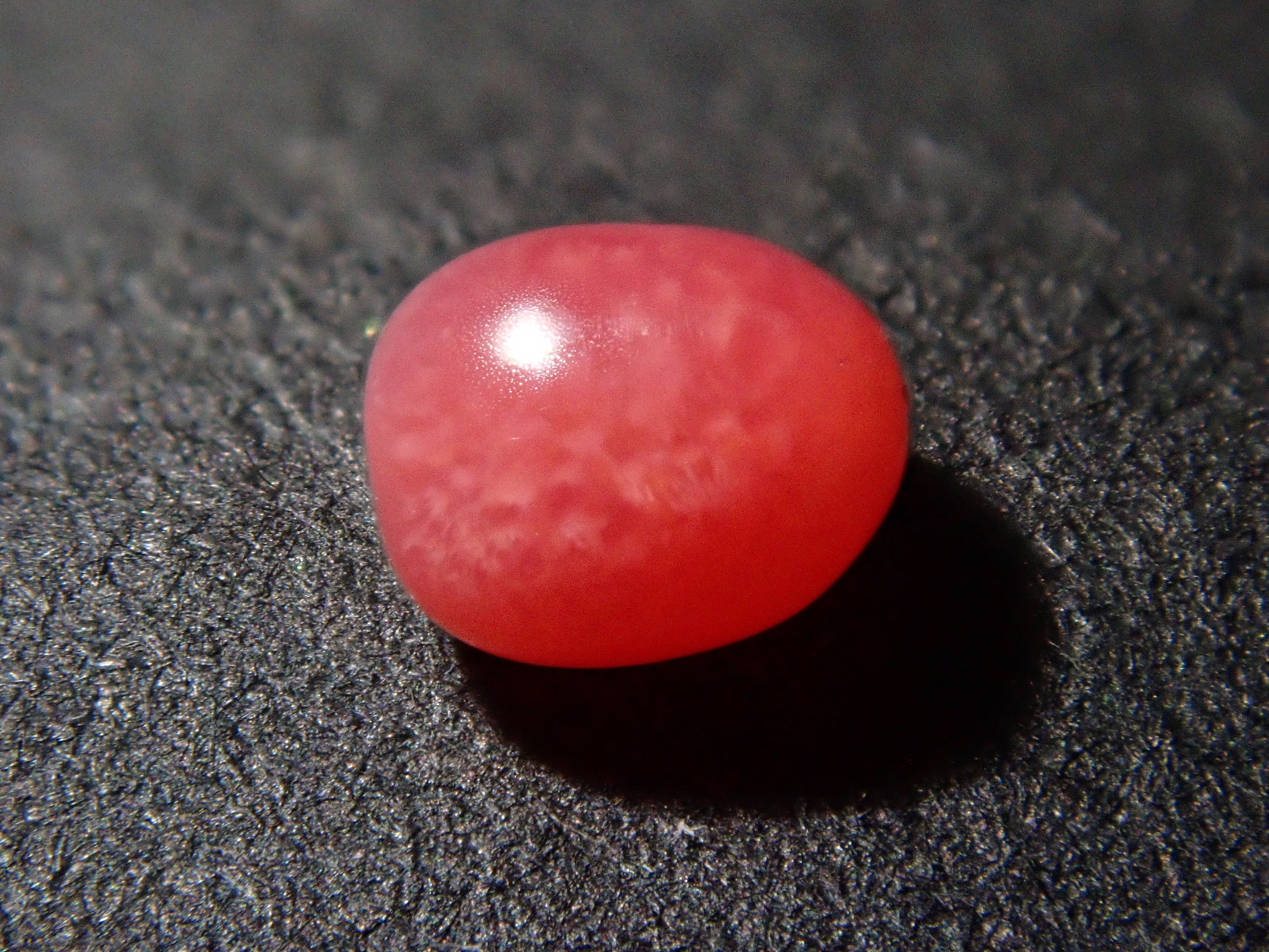 ドミニカ共和国産コンクパール（火焔模様有り） 0.213ctルース