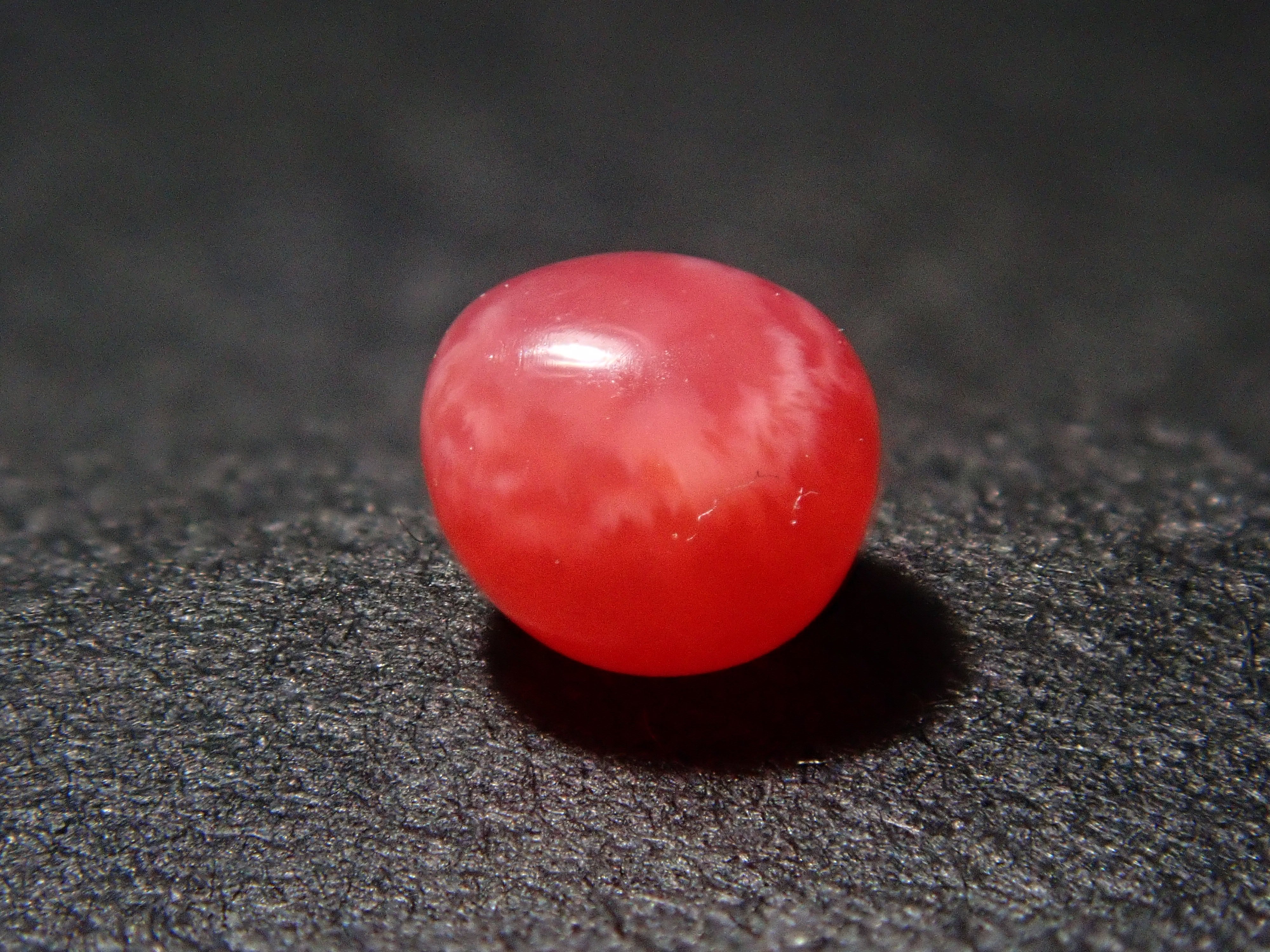 【12559635掲載】ドミニカ共和国産コンクパール（火焔模様有り） 0.207ctルース