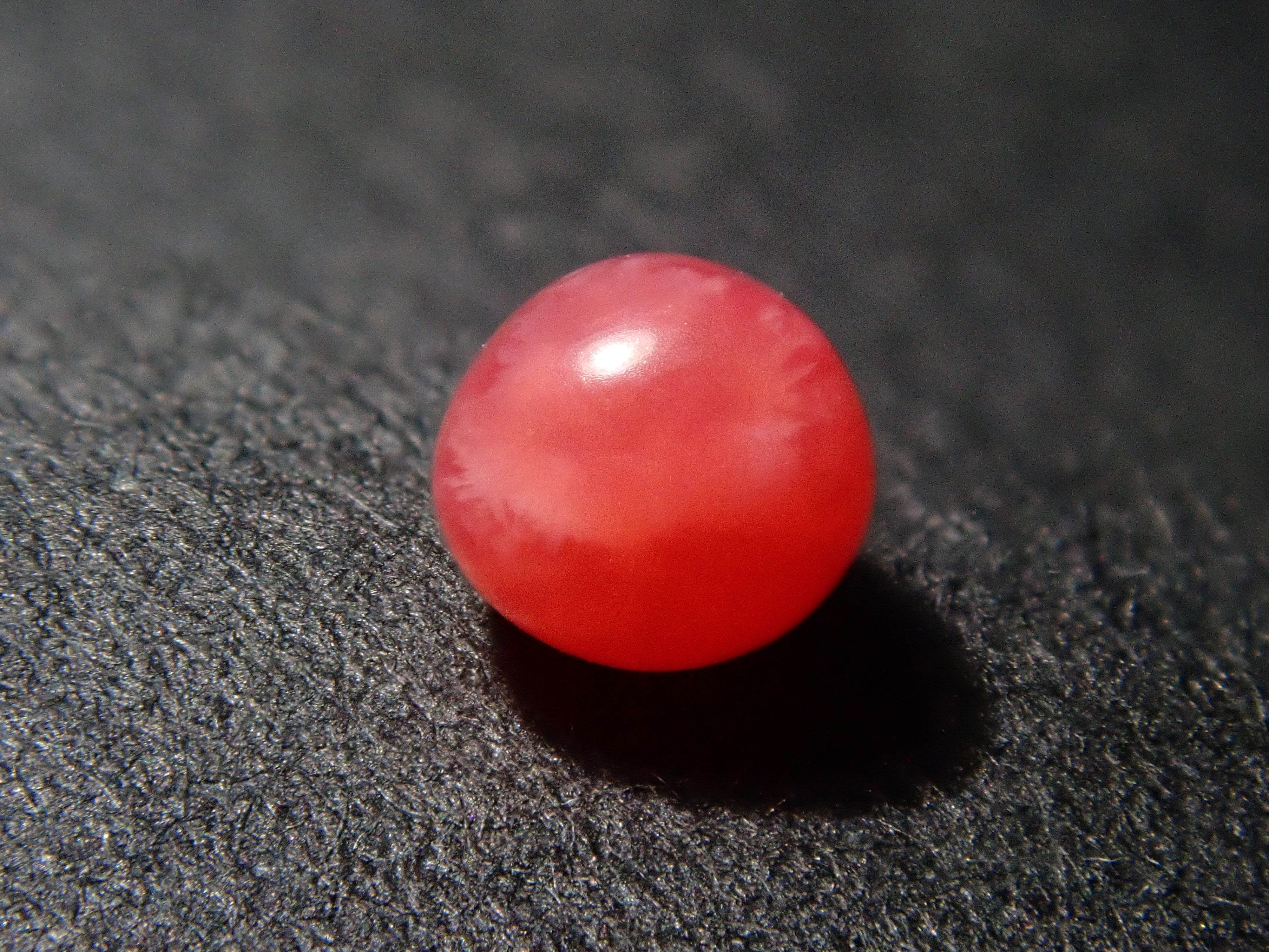 【12559635掲載】ドミニカ共和国産コンクパール（火焔模様有り） 0.207ctルース