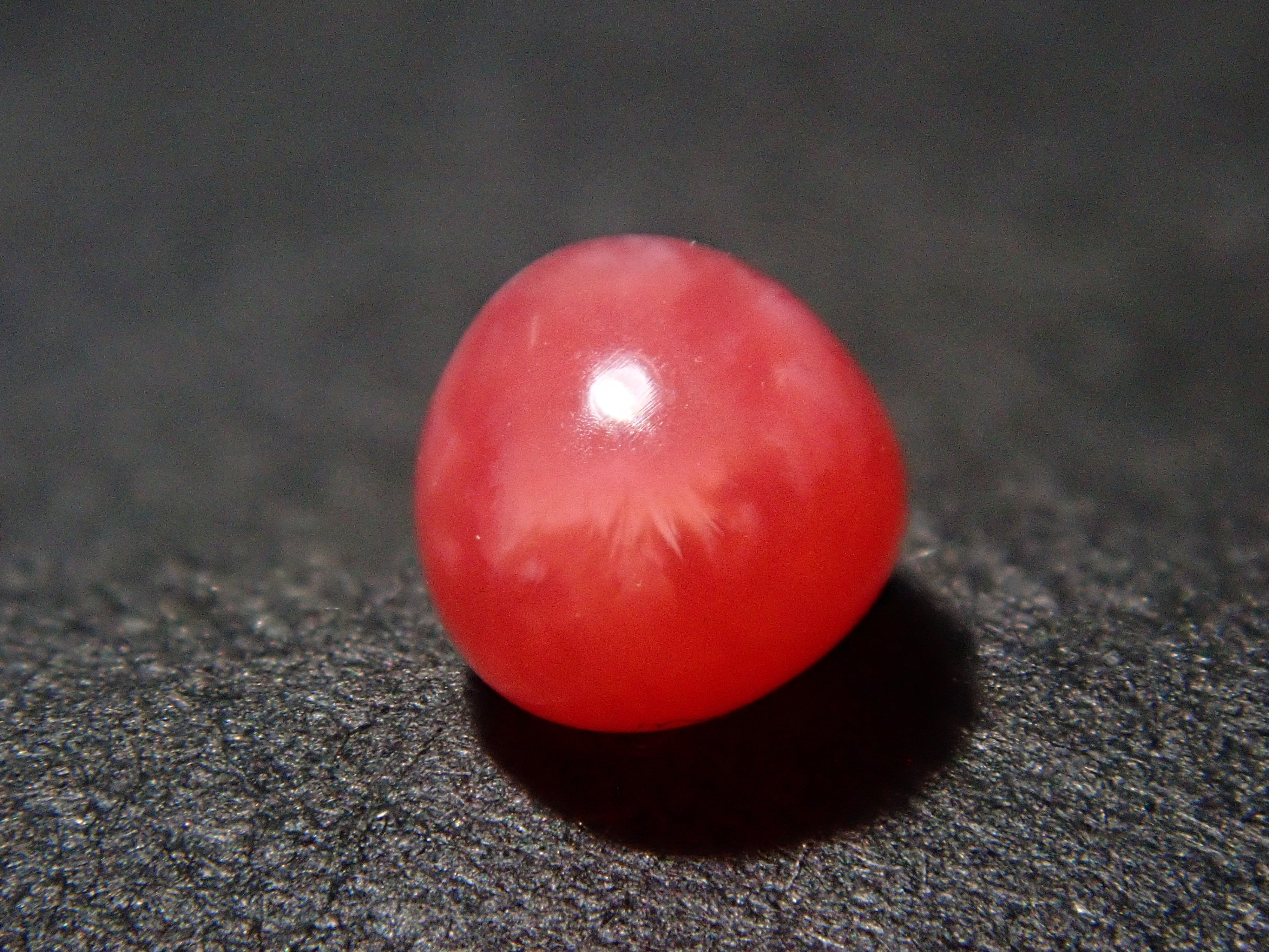 【12559635掲載】ドミニカ共和国産コンクパール（火焔模様有り） 0.207ctルース