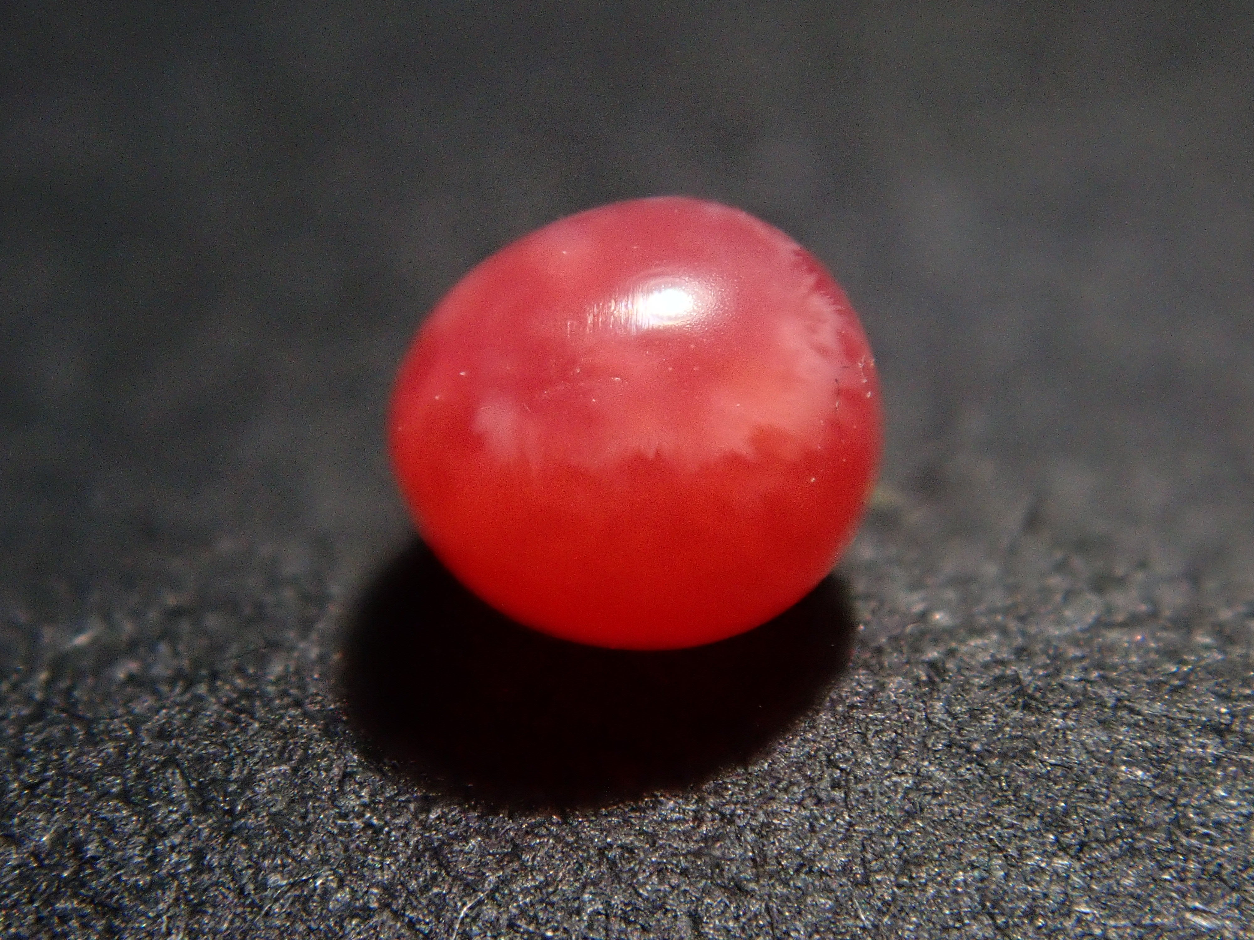 【12559635掲載】ドミニカ共和国産コンクパール（火焔模様有り） 0.207ctルース