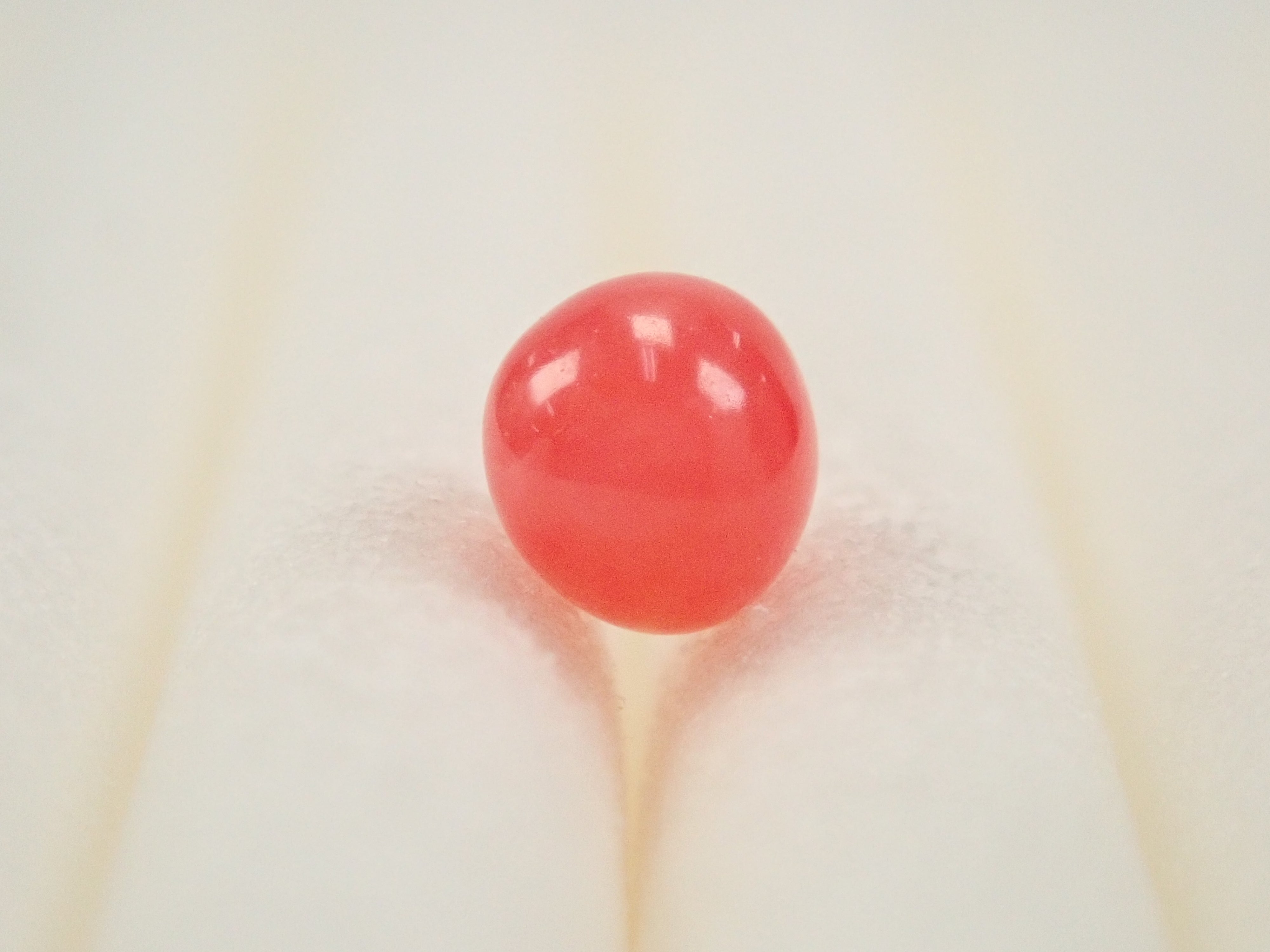 【12559635掲載】ドミニカ共和国産コンクパール（火焔模様有り） 0.207ctルース