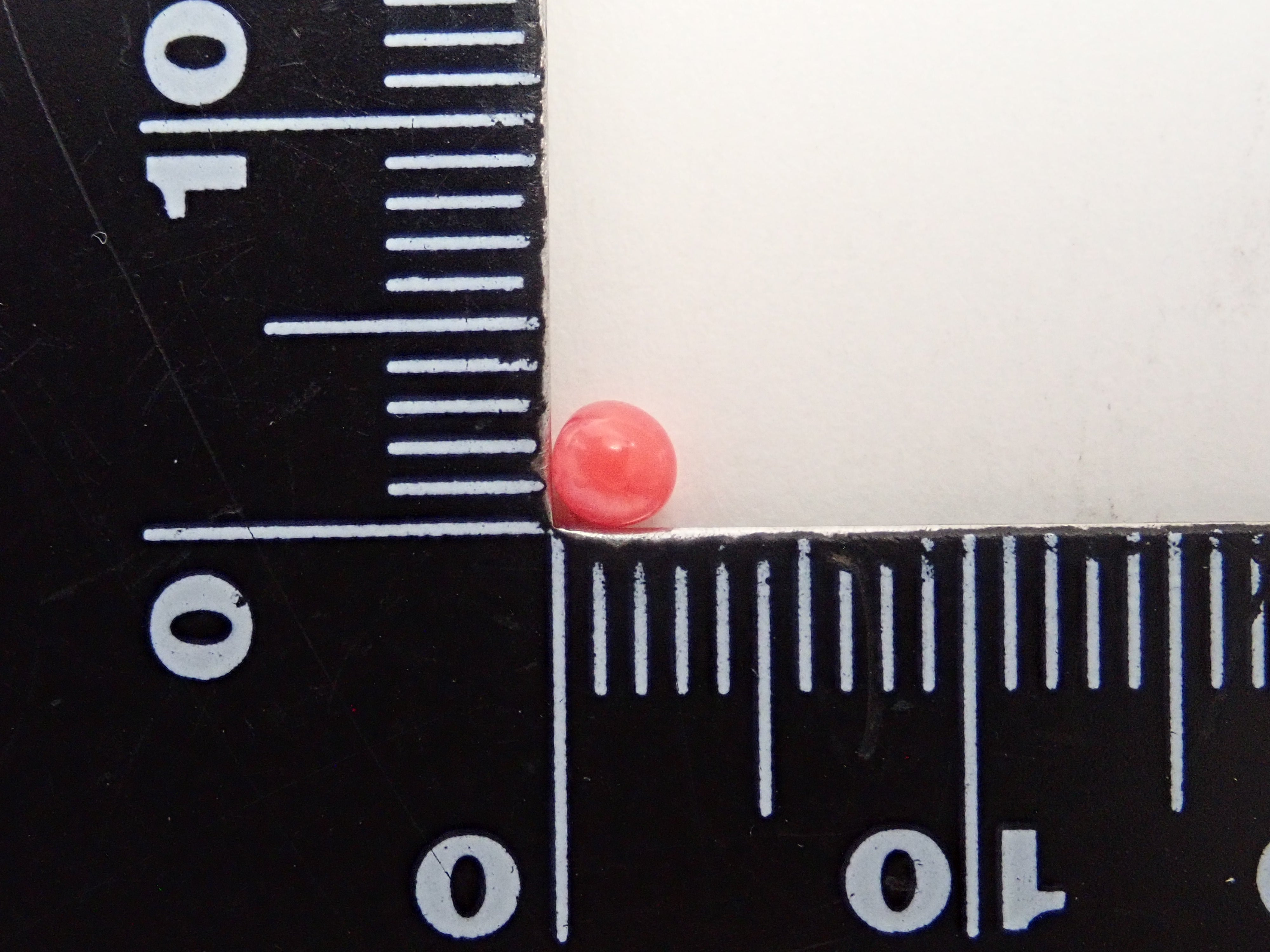 【12559635掲載】ドミニカ共和国産コンクパール（火焔模様有り） 0.207ctルース