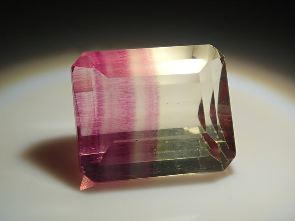 P8230277_grande.jpg?v=1724408299