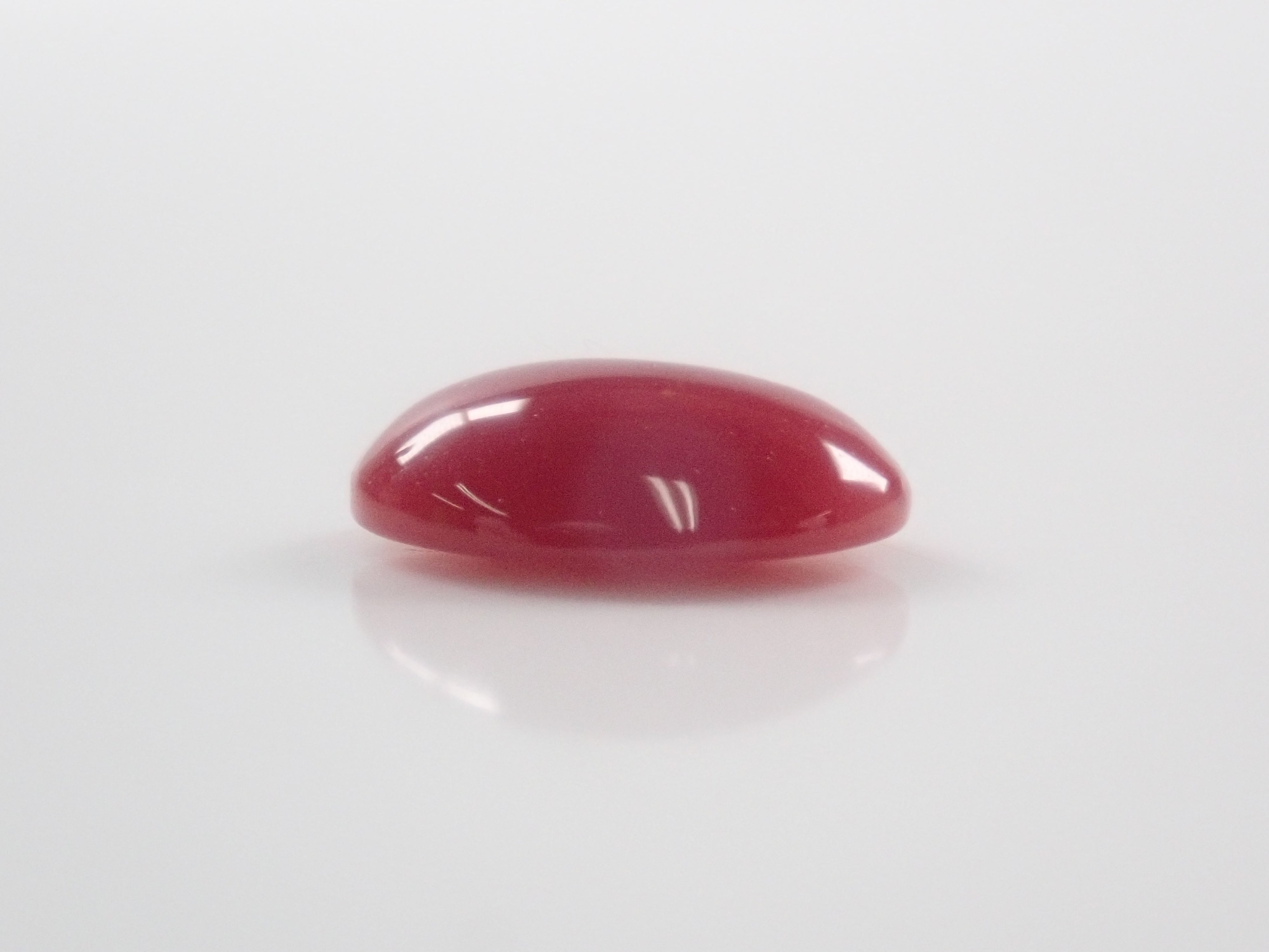 【9/3 22時販売】高知県産血赤珊瑚 1.235ctルース