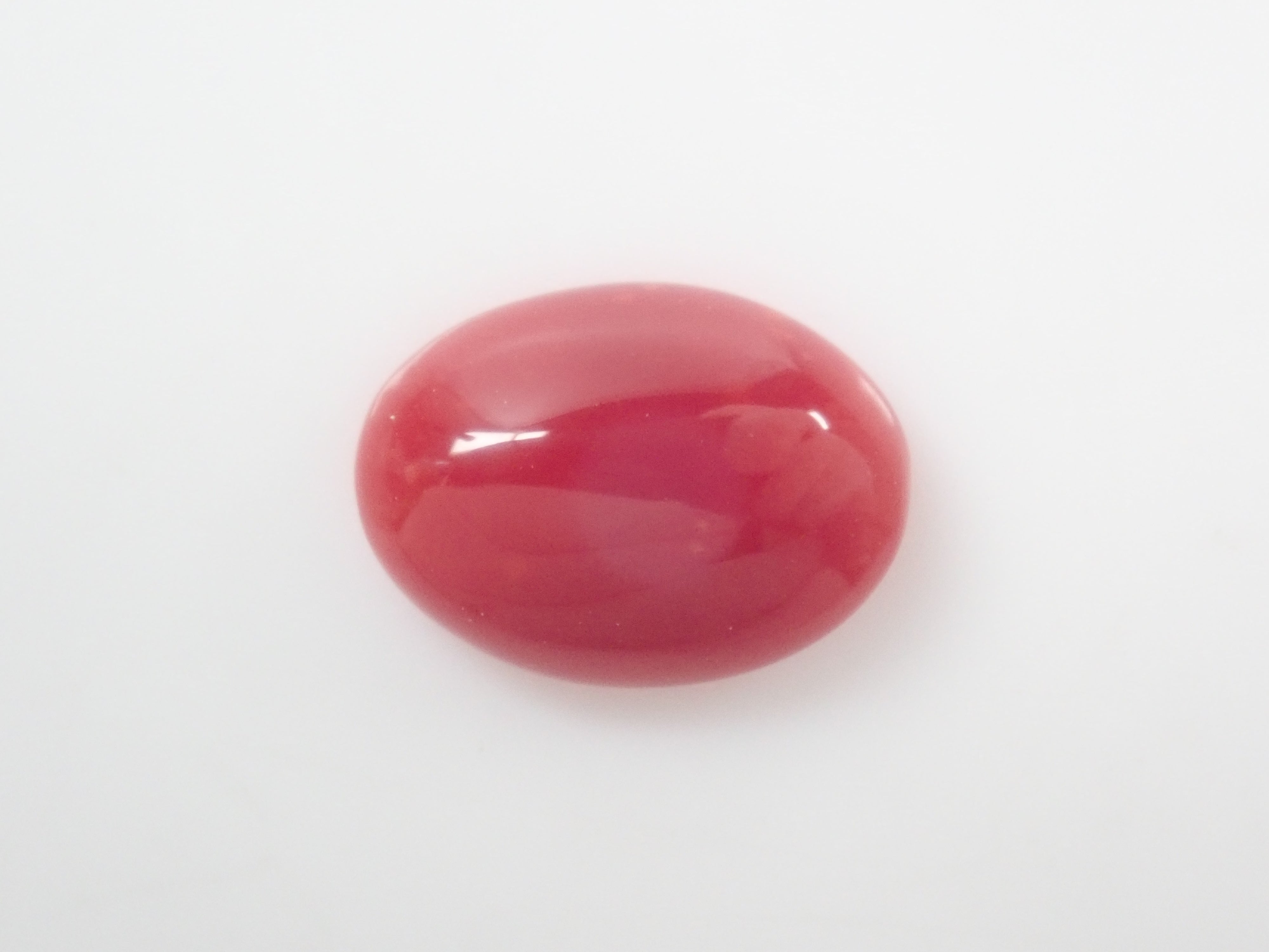 【9/3 22時販売】高知県産血赤珊瑚 1.235ctルース