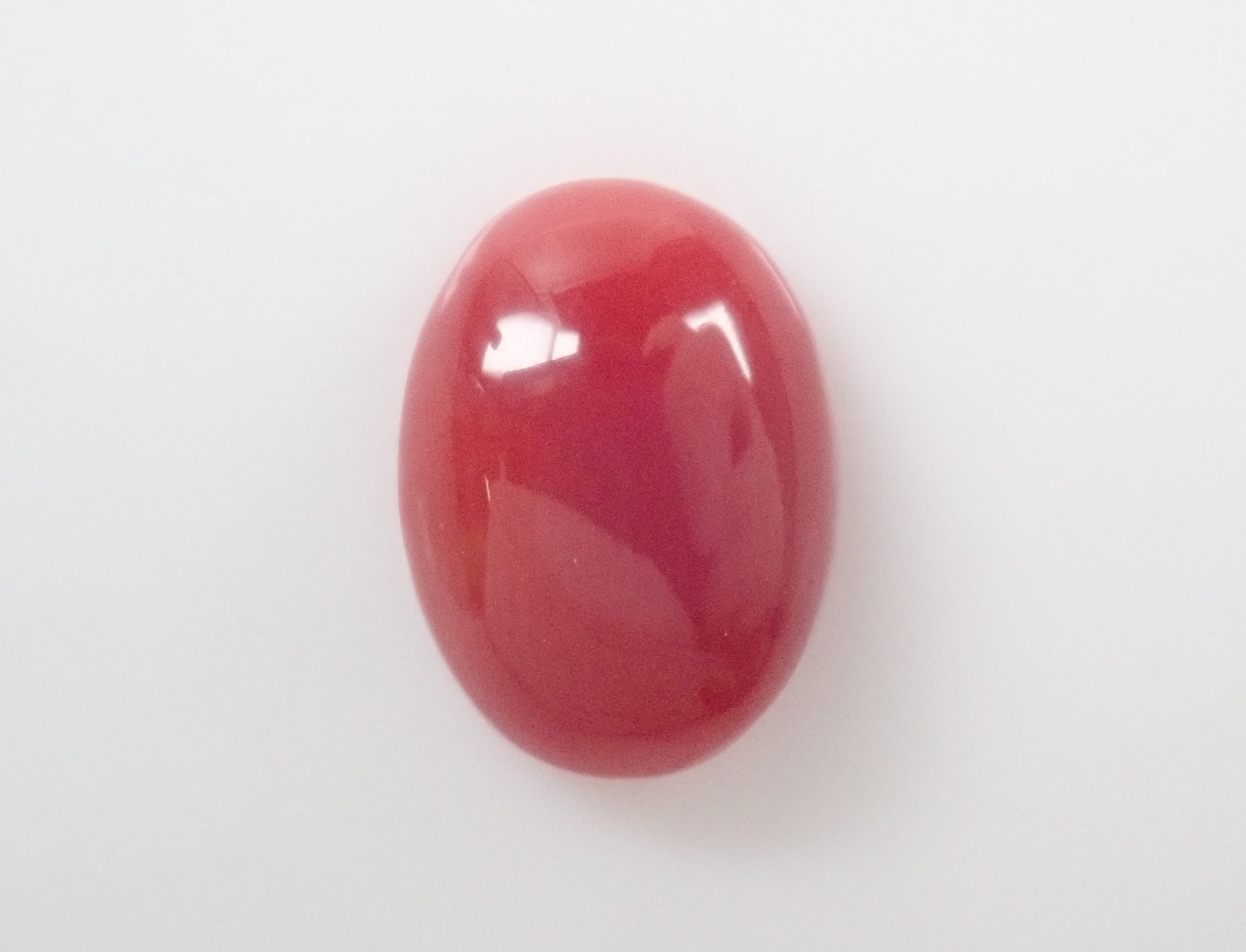 【8/31 22時販売】高知県産血赤珊瑚 1.444ctルース