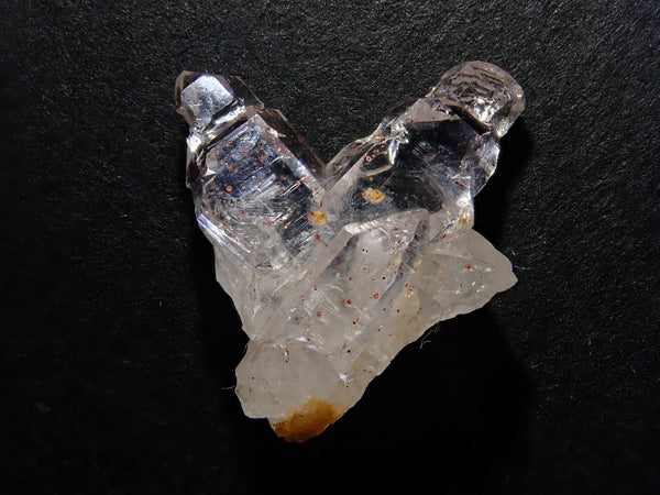 P8282963_grande.jpg?v=1724893392