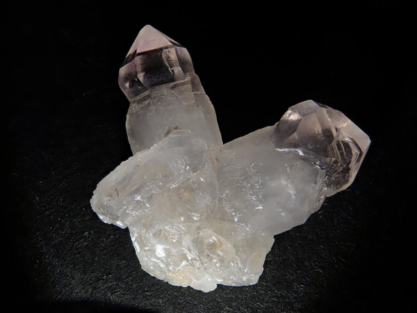 P8282987_grande.jpg?v=1724893434