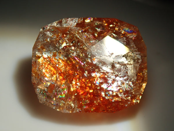 P8295916_grande.jpg?v=1757896742