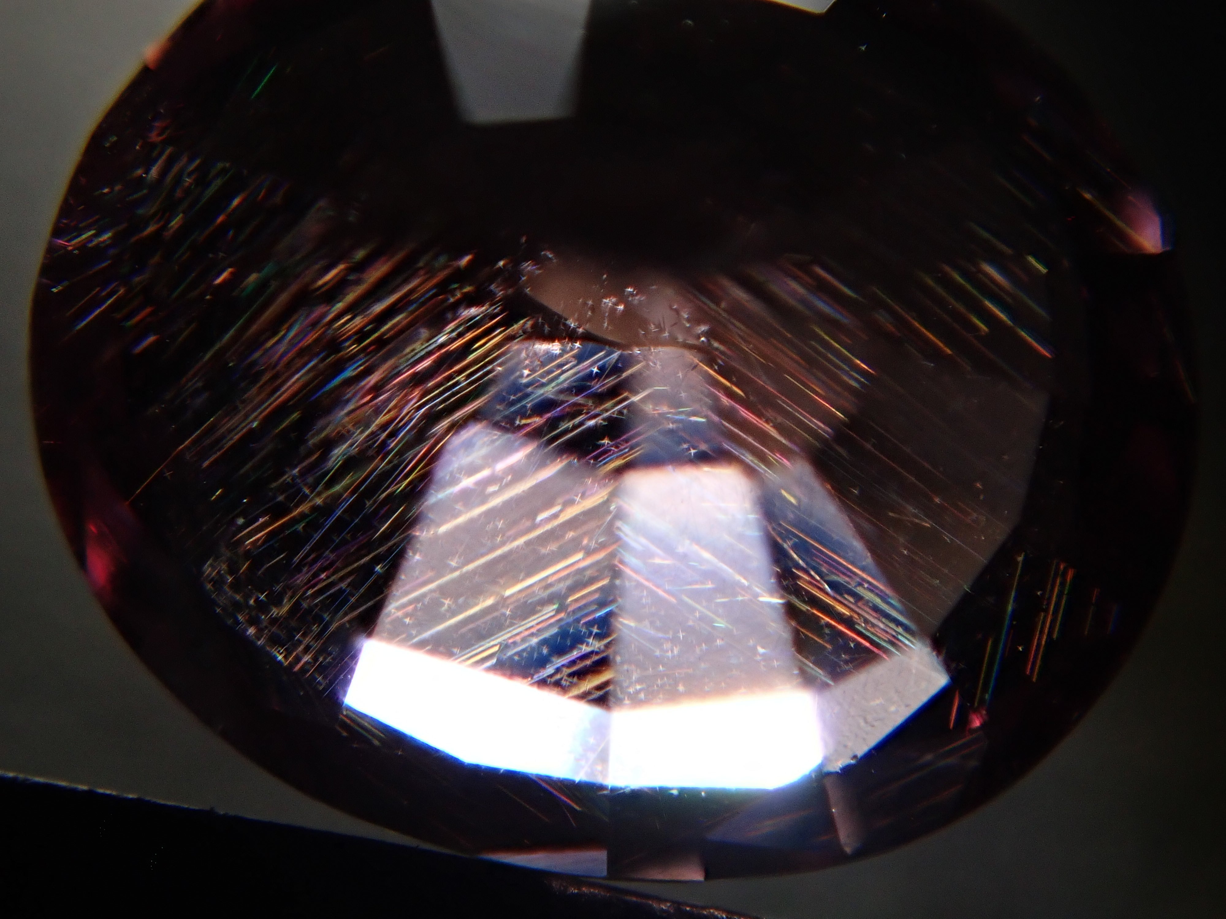 ガーネット ハラックス ガーネット 草刈作業の飛散ガード 高さ150×幅210cm