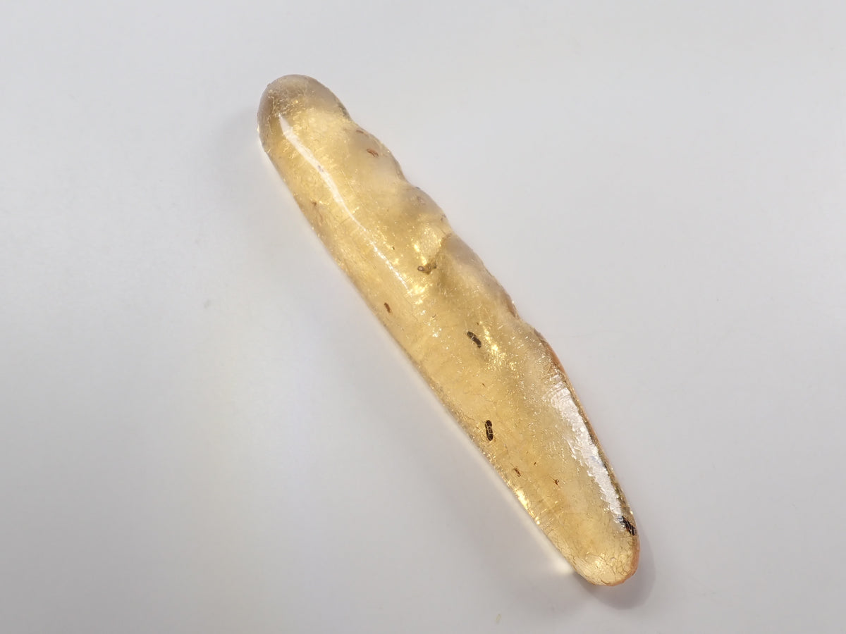【9/23 22時販売】《限定1石》複数の虫入り 琥珀（こはく）／コパル97.64ct・約10cm 標本