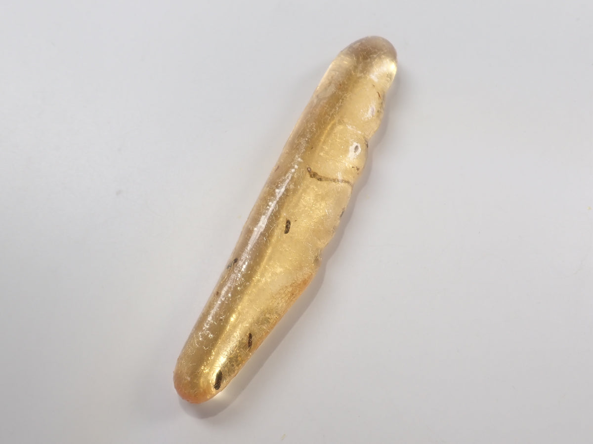 【9/23 22時販売】《限定1石》複数の虫入り 琥珀（こはく）／コパル97.64ct・約10cm 標本