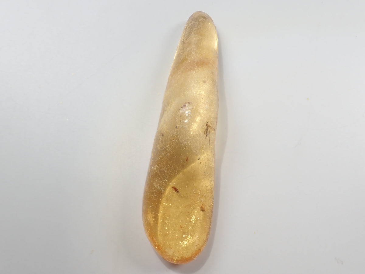 【9/23 22時販売】《限定1石》複数の虫入り 琥珀（こはく）／コパル94.05ct・約9cm 標本