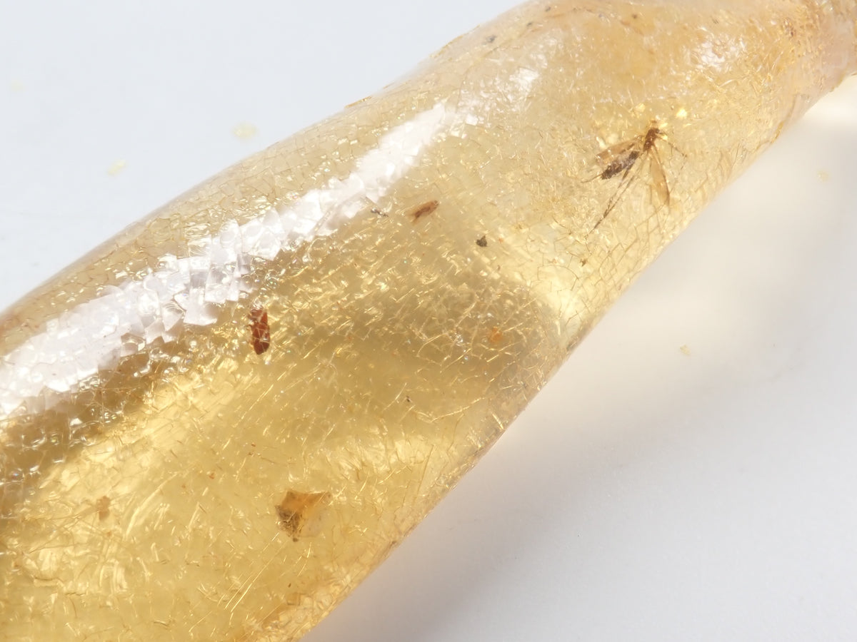 【9/23 22時販売】《限定1石》複数の虫入り 琥珀（こはく）／コパル94.05ct・約9cm 標本
