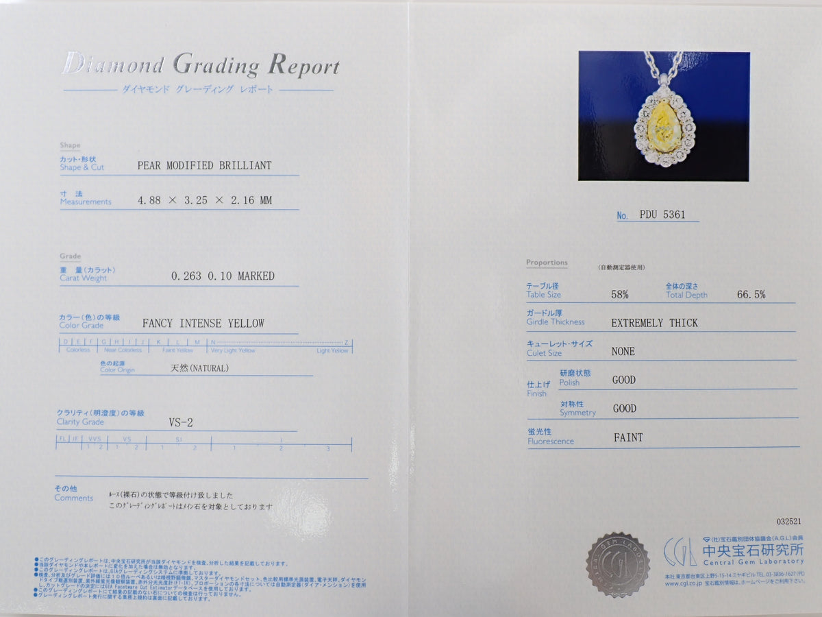 [22602825] Pt950/K18 Yellow Diamond 0.263ct Diamond 0.10ct Pendant (Necklace) with Appraisal Certificate