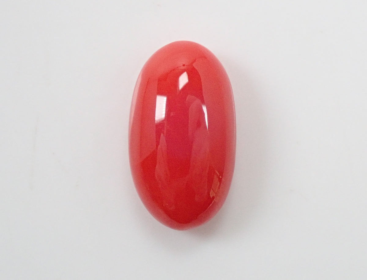 【10/7 22時販売】高知県産血赤珊瑚 9.736ctルース
