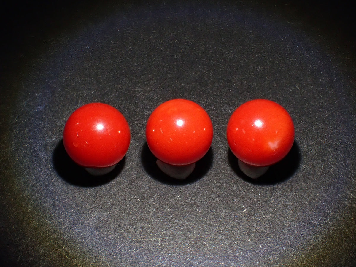 【10/30 22時開賣】《限量3顆》高知縣產血赤珊瑚 單孔（8.7mm，頂級色澤）《享多件購買折扣》