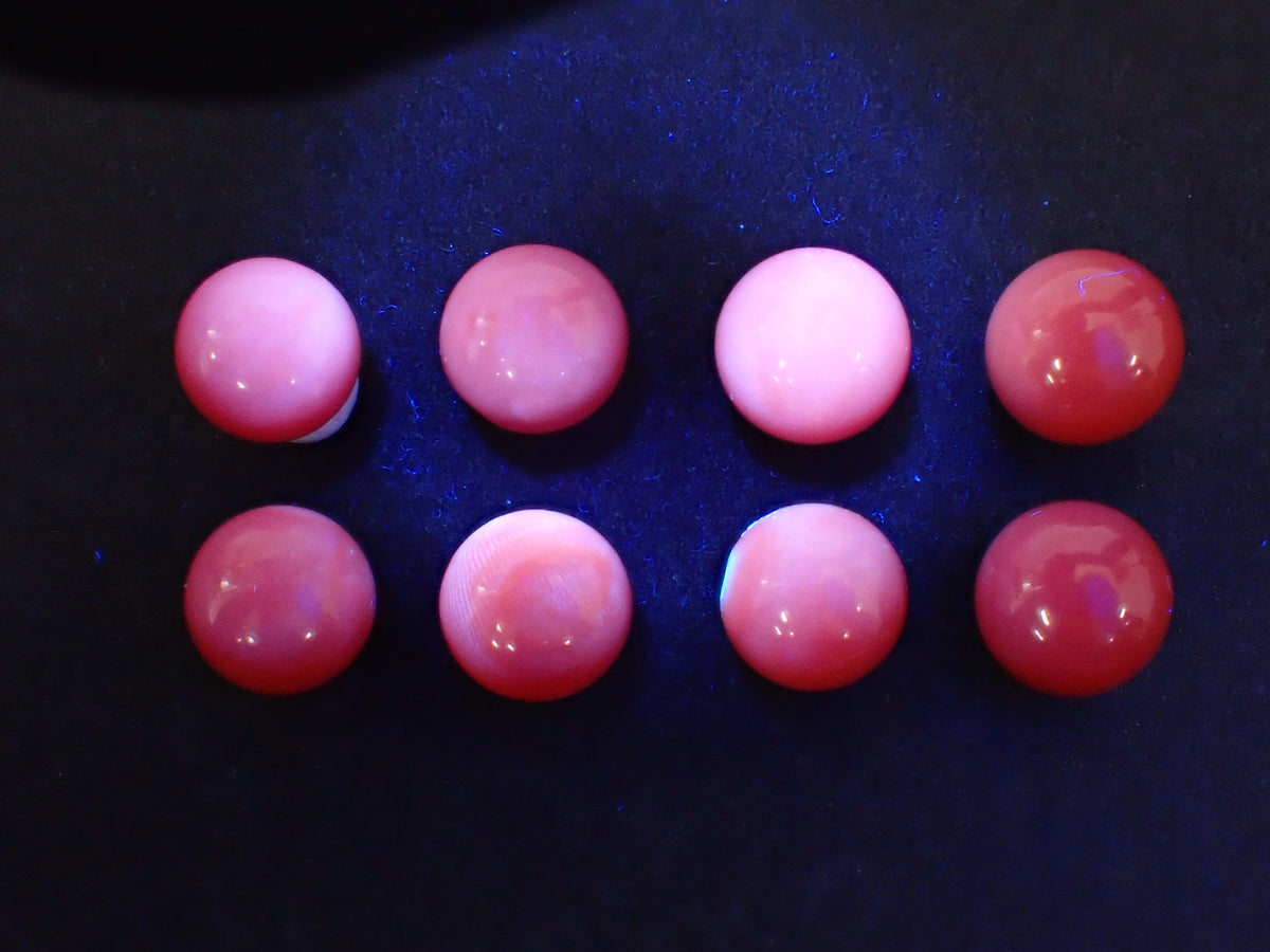 [Available 10/30 at 10:00 PM] 《Limited to 8 stones》 Kochi Prefecture Red Coral Round Beads (8.5–9.0 mm) 《Multi-buy discount available》