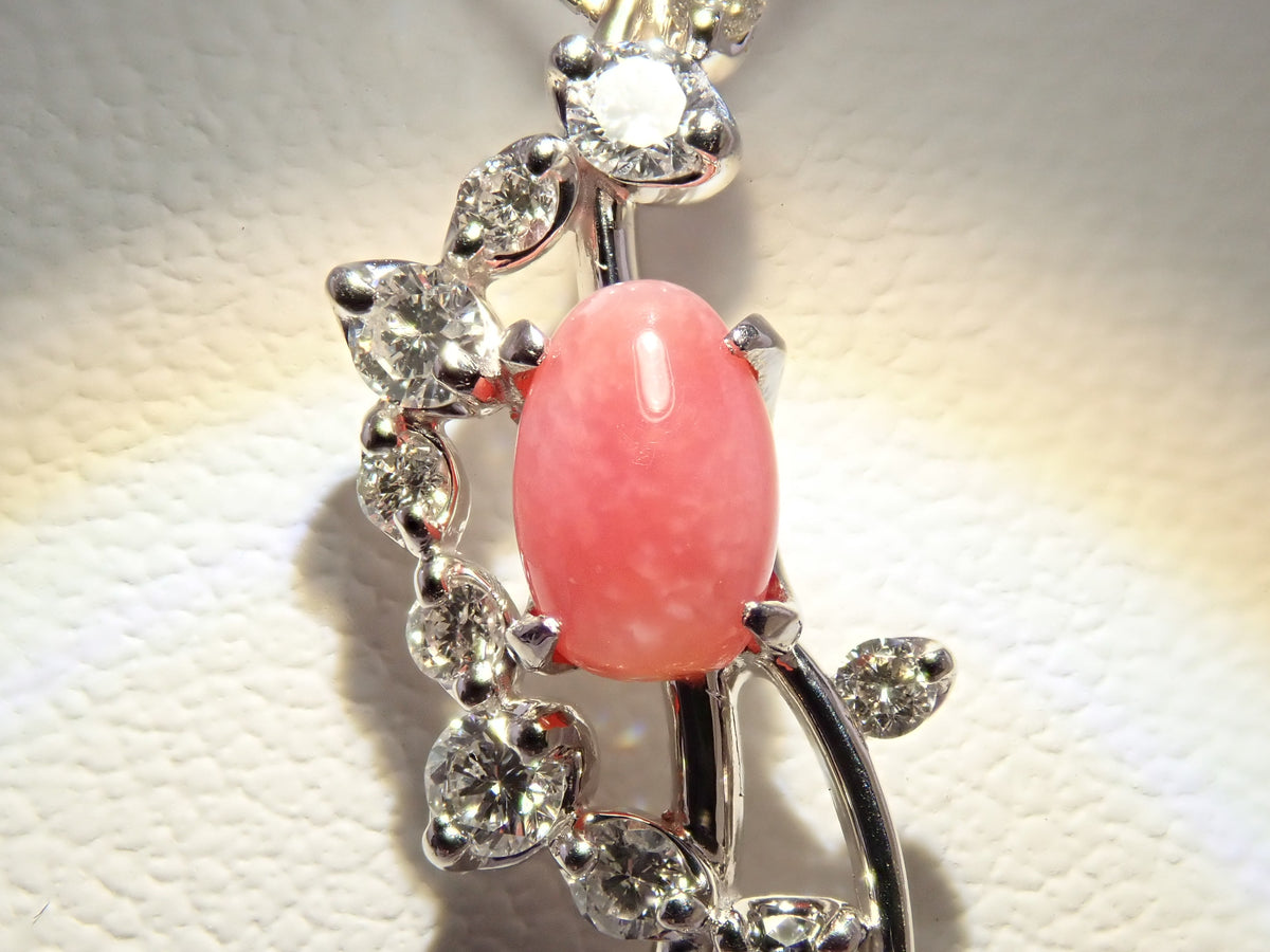 [Item 22602836] [Carafuri] Pt900/Pt850 Conch Pearl (with flame structure) 0.54ct, Diamond 0.30ct Pendant (Necklace) with Appraisal Report