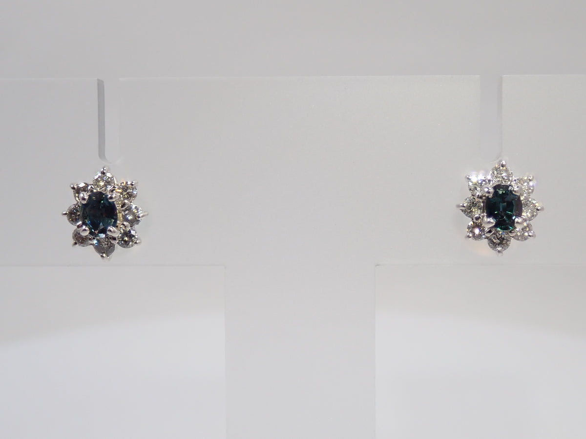 [Item 22602845] Pt900 Brazilian Alexandrite 0.15/0.14ct & Diamond 0.14/0.12ct Earrings with Appraisal Report