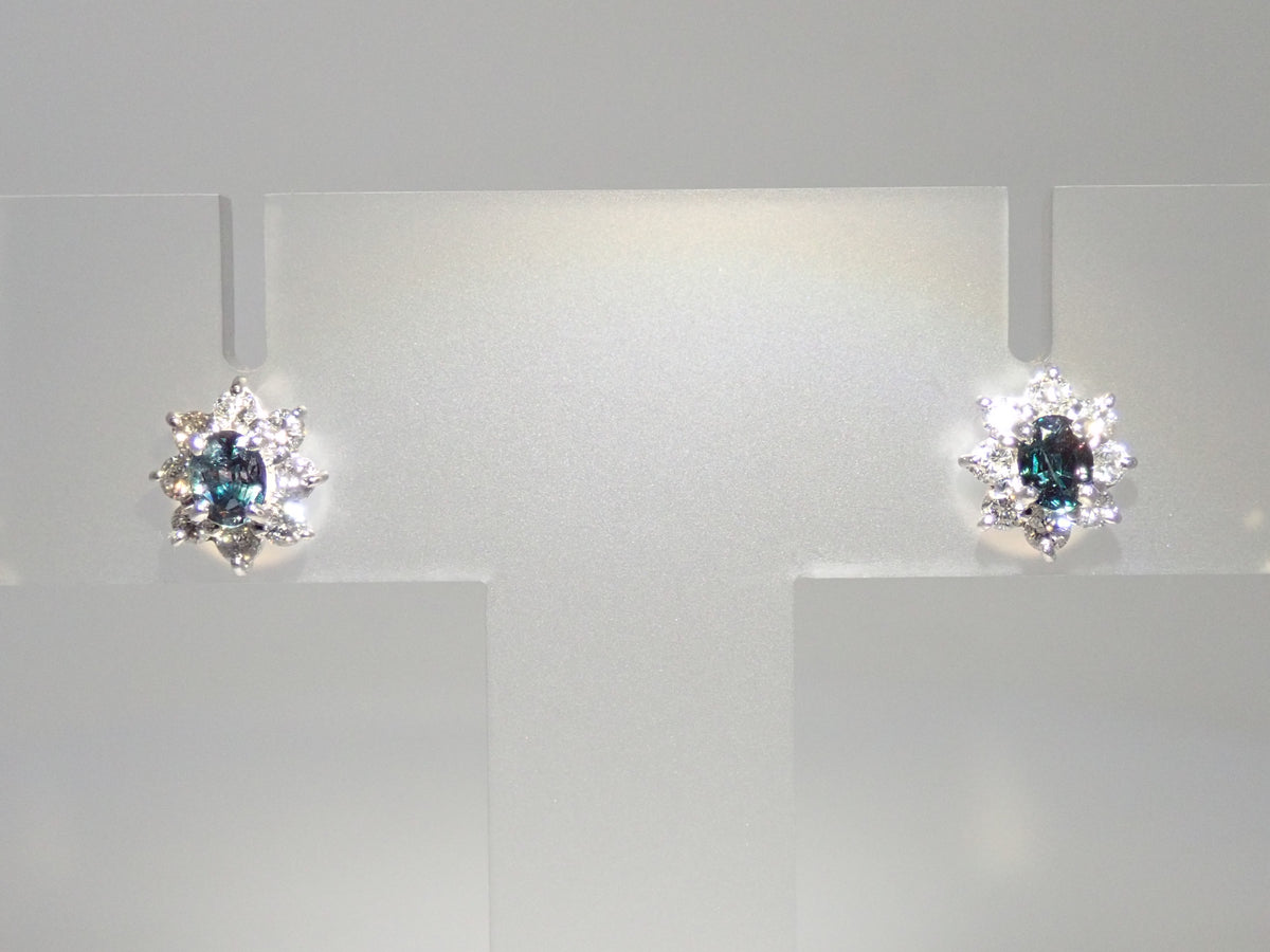 [Item 22602845] Pt900 Brazilian Alexandrite 0.15/0.14ct & Diamond 0.14/0.12ct Earrings with Appraisal Report