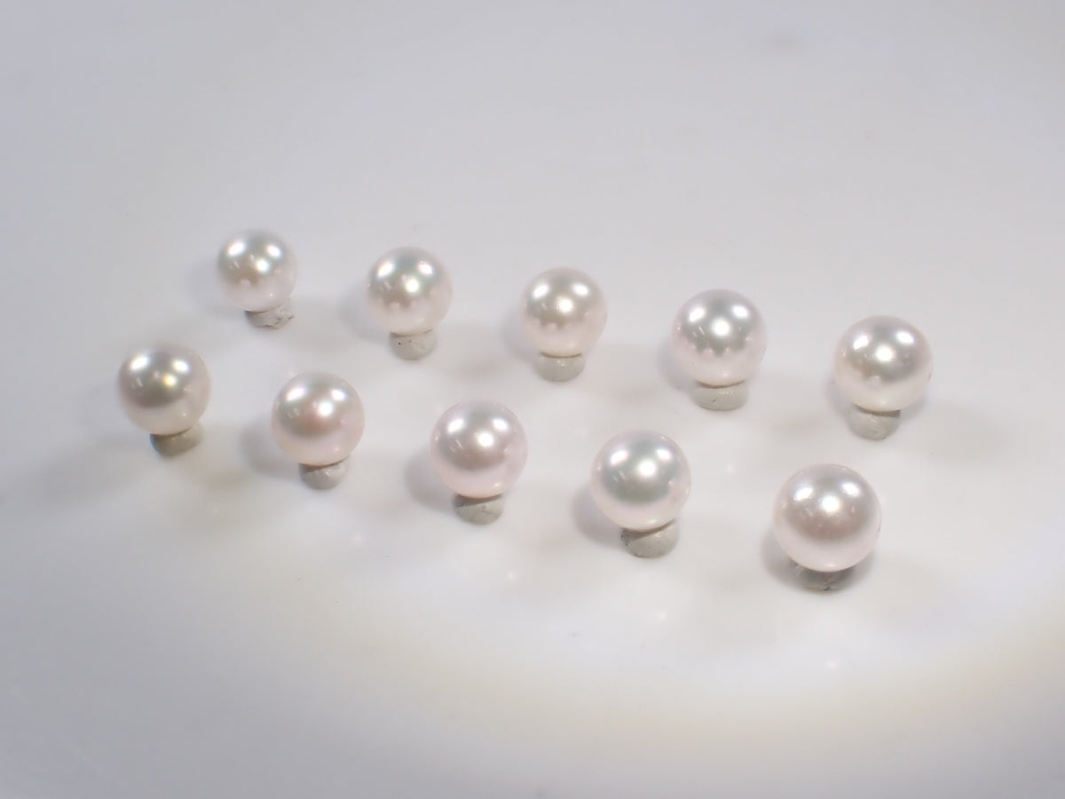 【/ 22時販売】《限定47個》花珠真珠　約6.4～6.8ｍｍ《複数購入割引有》
