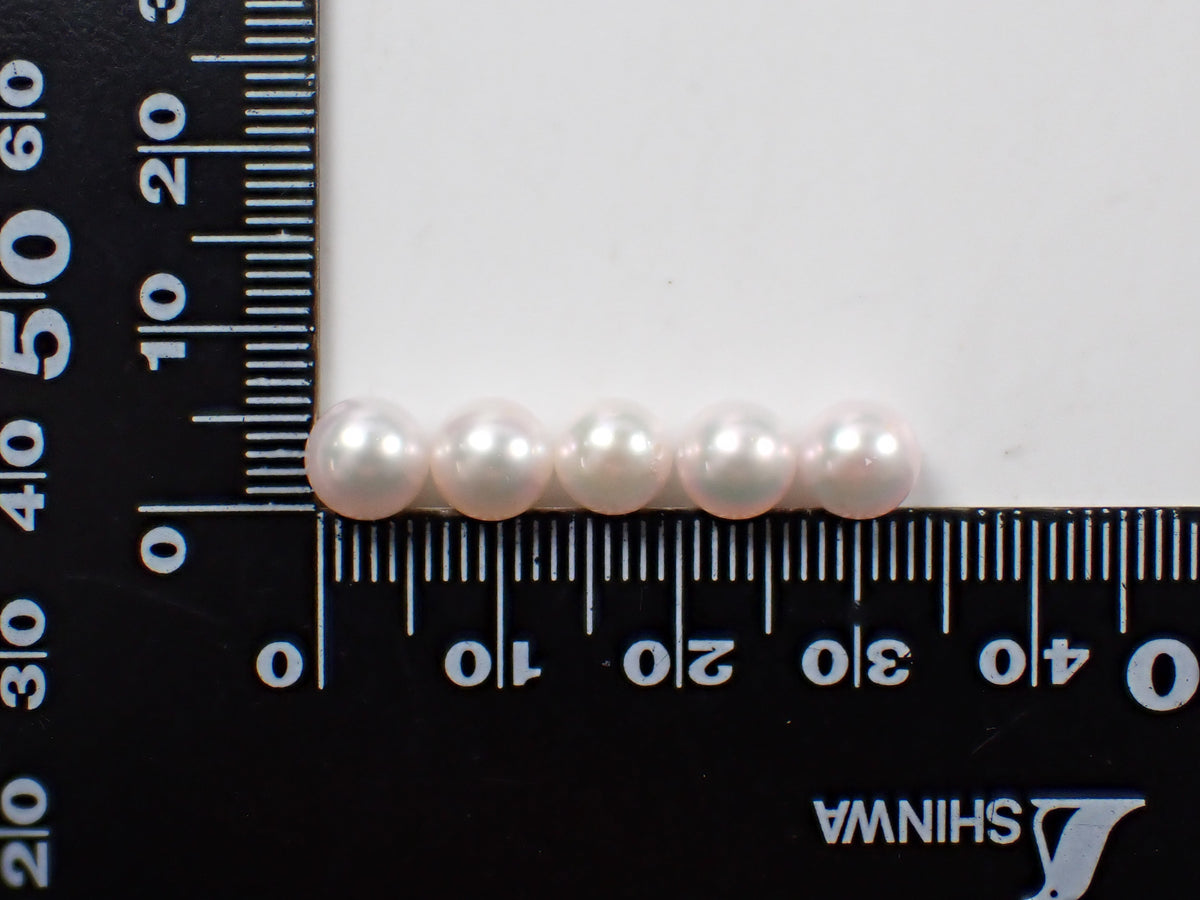 【/ 22時販売】《限定47個》花珠真珠　約6.4～6.8ｍｍ《複数購入割引有》