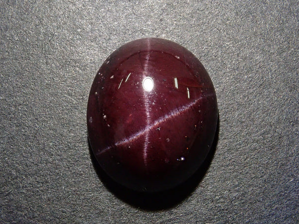 PA190573_grande.jpg?v=1697767809